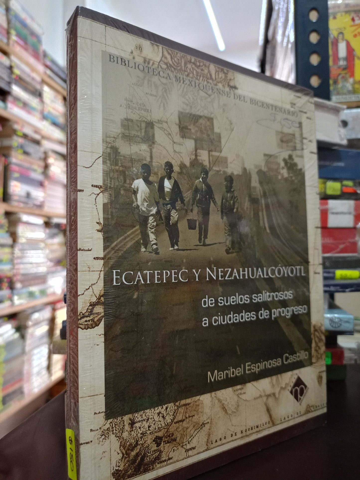 ECATEPEC Y NEZAHUALCOYOTL DE SUELOS SALITROSOS A CIUDADES DE PROGRESO POR MARIBEL ESPINOSA CASTILLO NUEVO LITERARIO 305