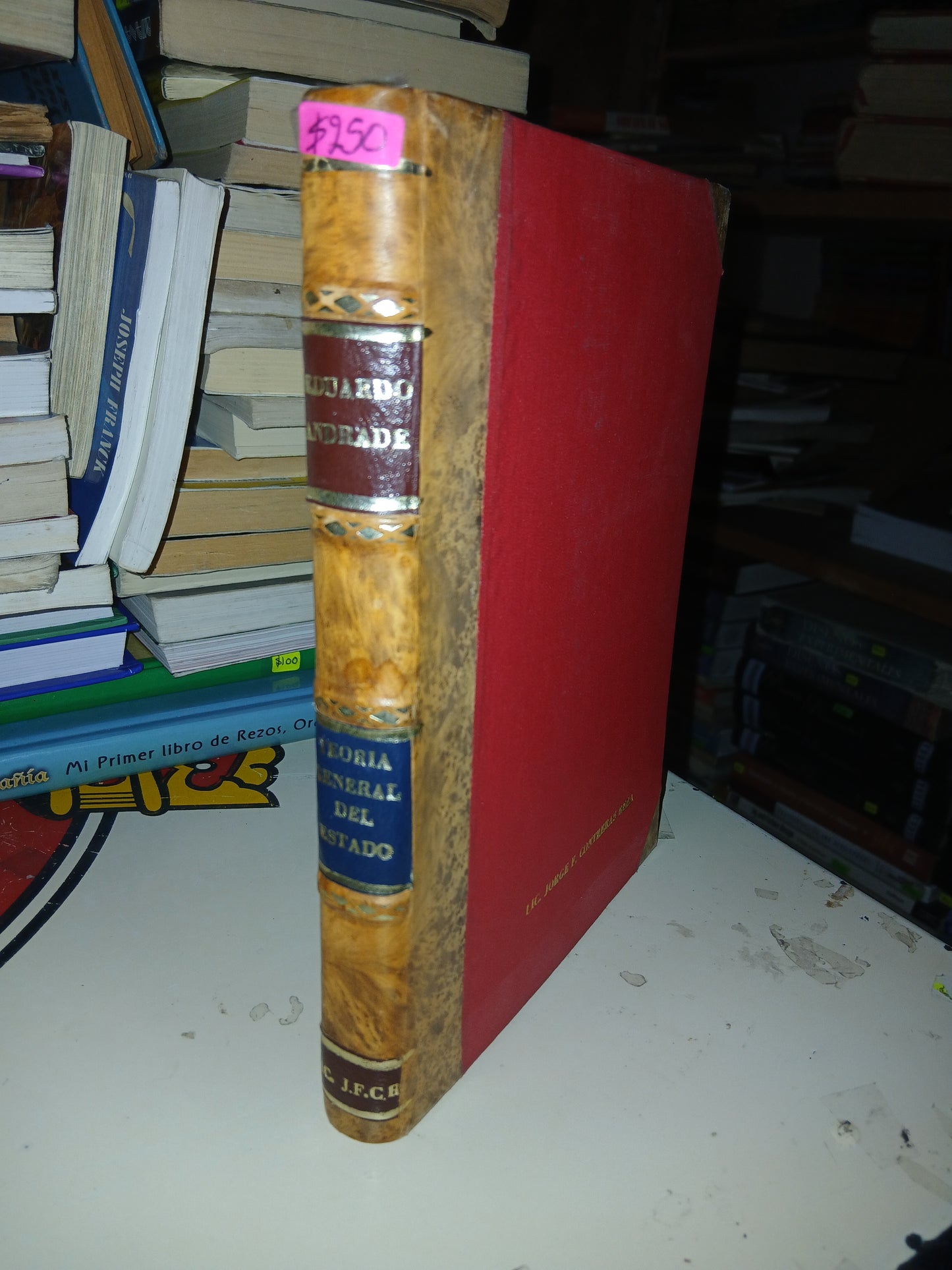 TEORÍA GENERAL DEL ESTADO POR EDUARDO ANDRADE USADO DERECHO LITERARIO 207