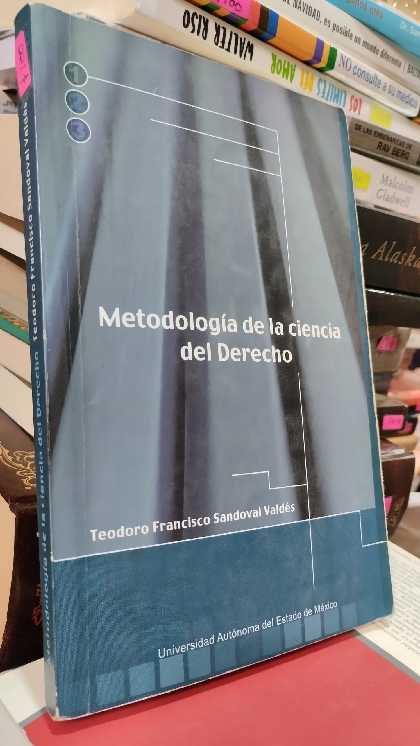 METODOLOGIA DE LA CIENCIA DEL DERECHO POR TEODORO FRANCISCO SANDOVAL VALDES LIBRO USADO DERECHO ALDAMA