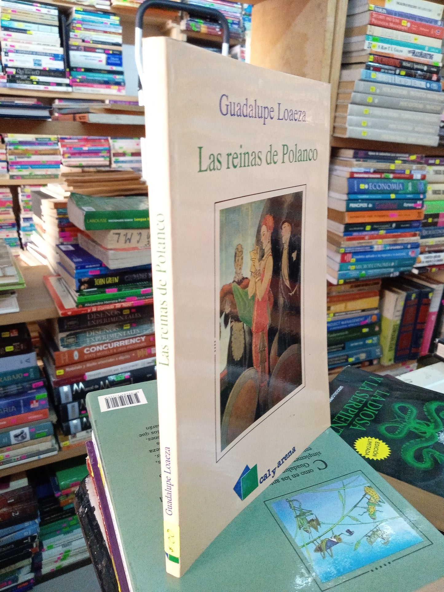 LAS REINAS DE POLANCO POR GUADALUPE LOAEZA USADO NOVELA LITERARIO 207