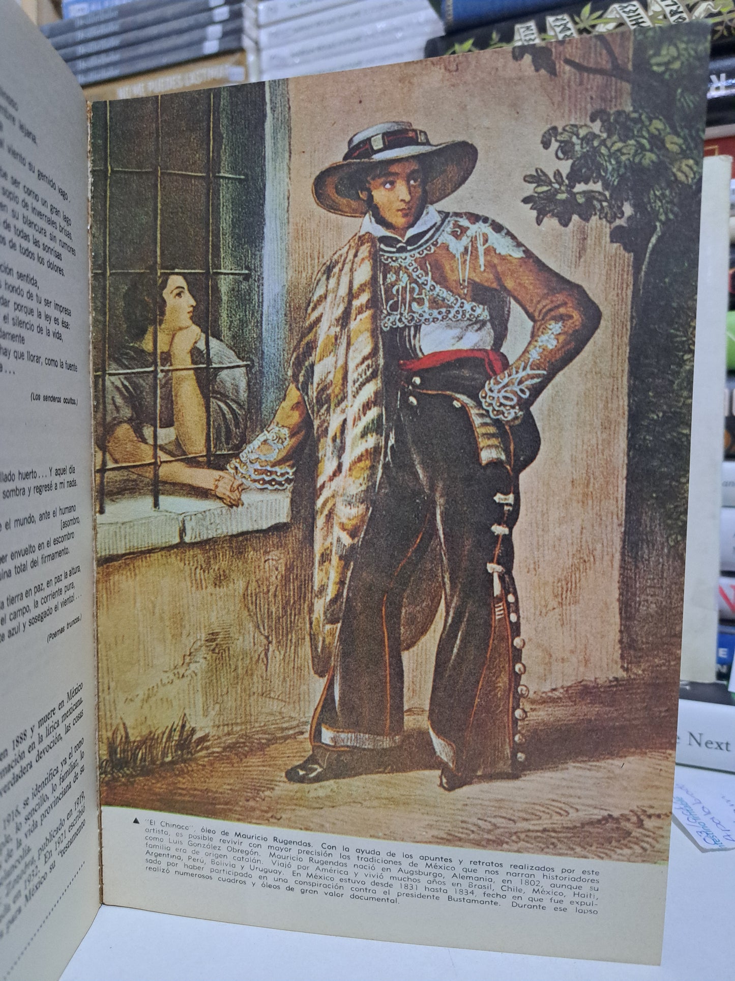 LITERATURA ESPAÑOLA Y MEXICANA VALDÉS BECERRIL HERNÁNDEZ OLVERA ESTRELLA GUTIÉRREZ USADO NOVELA JUÁREZ