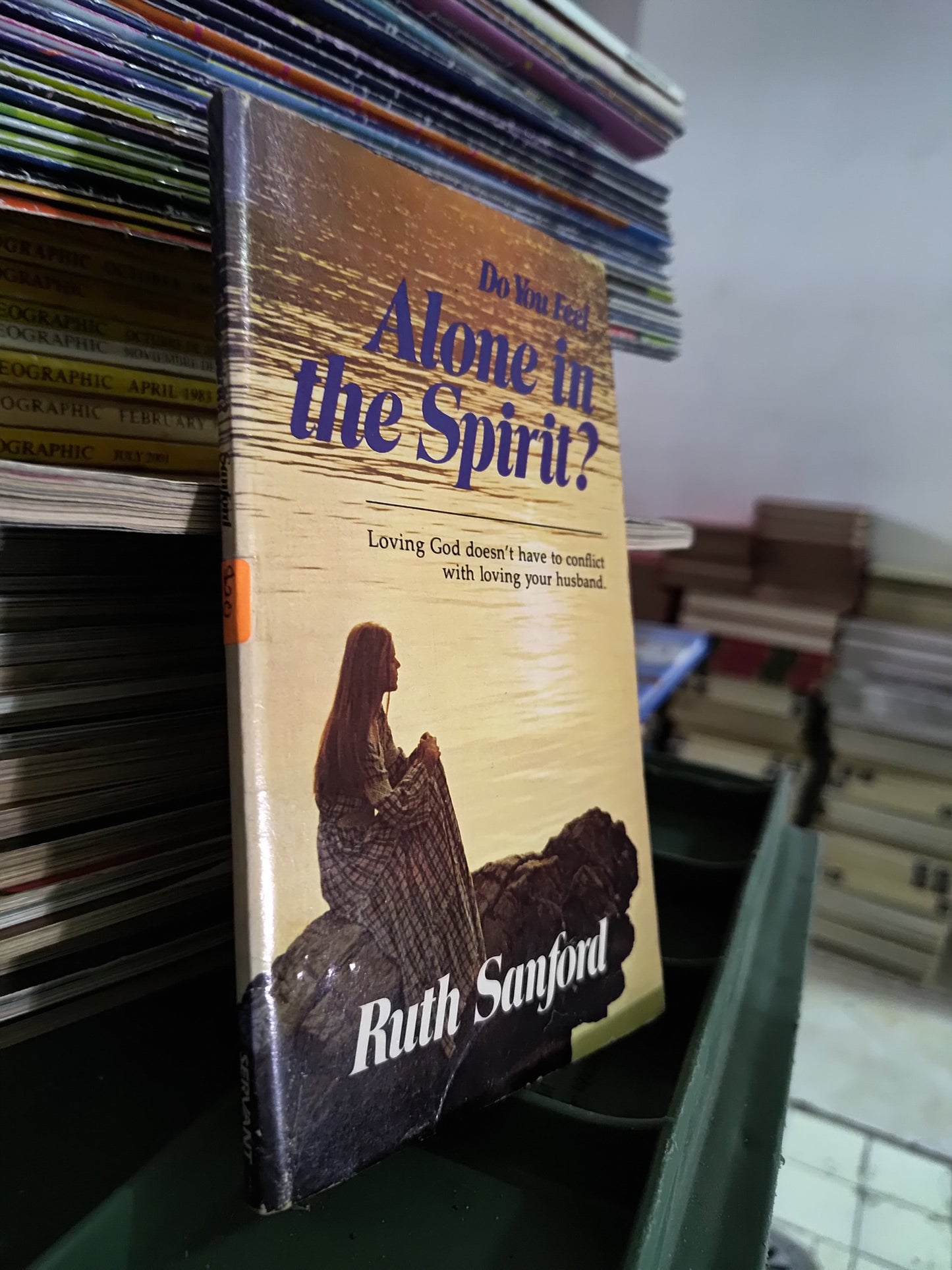 DO YOU FEEL ALONE IN THE SPIRIT? POR RUTH SANFORD USADO IDIOMAS JUAREZ 515