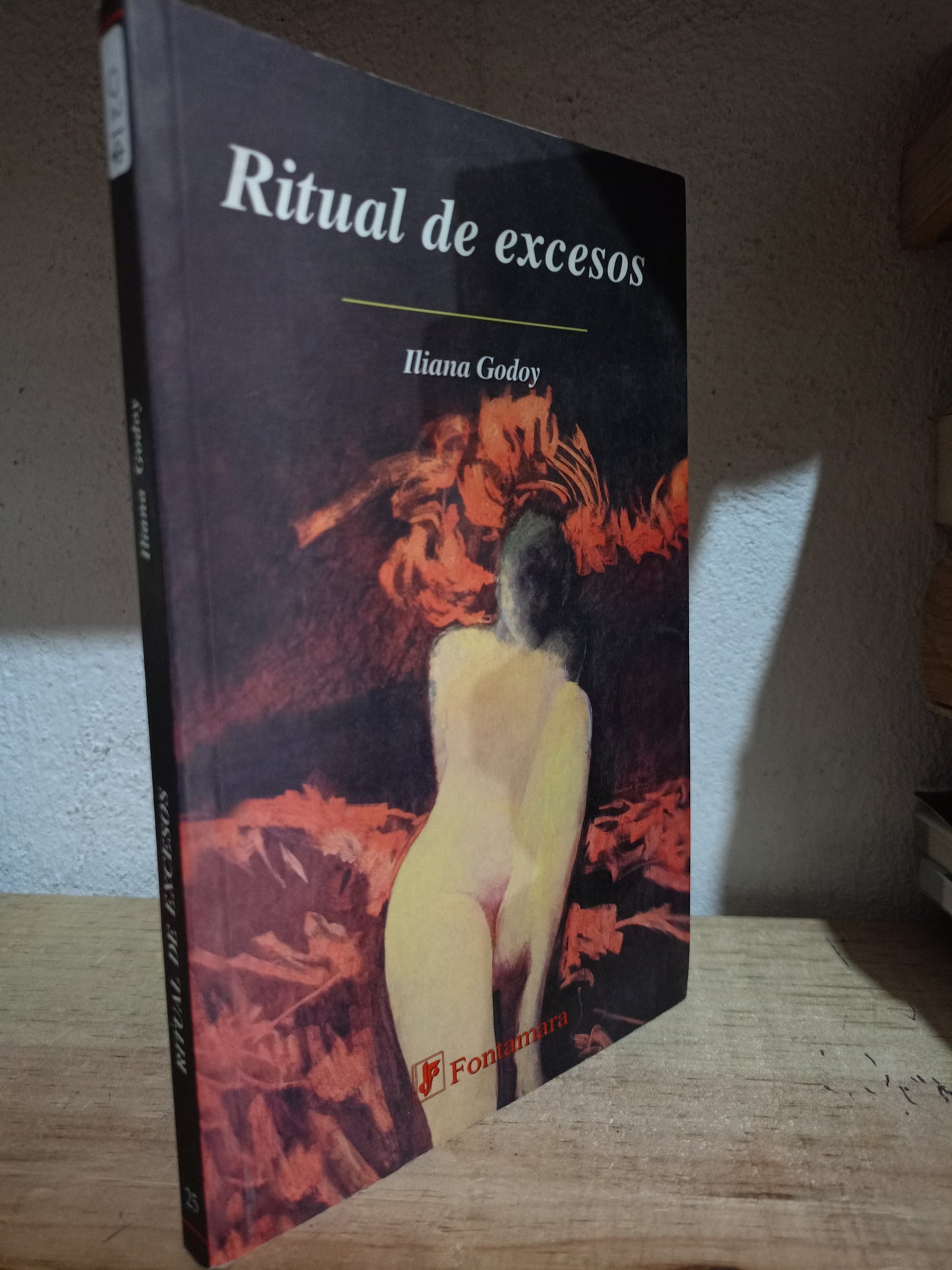 RITUAL DE EXCESOS POR ILIANA GODOY USADO NOVELA LITERARIO 305