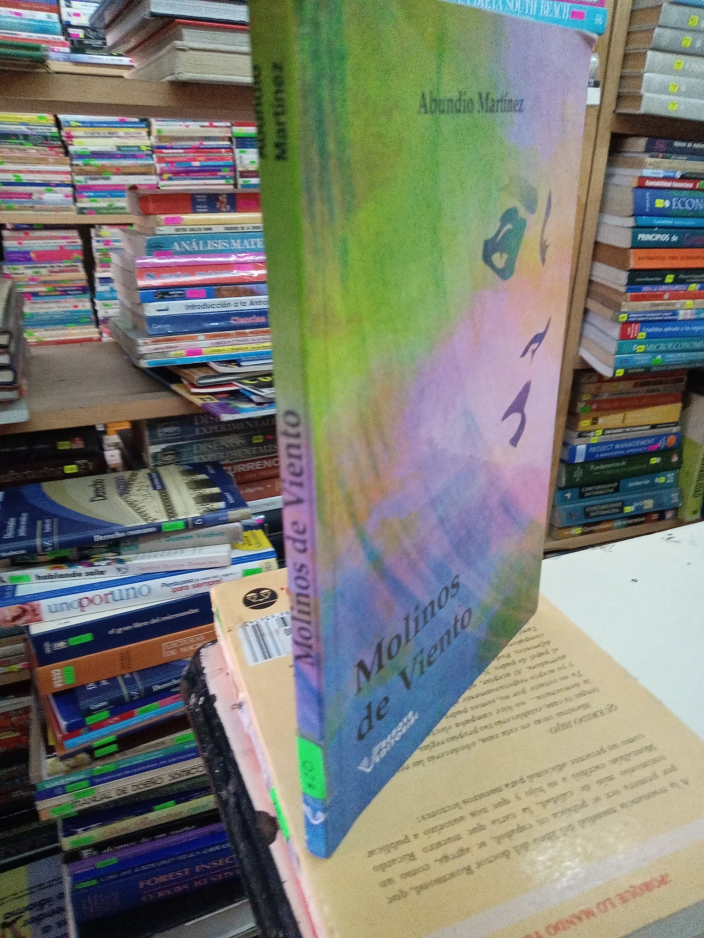 MOLINOS DE VIENTO POR ABUNDIO MARTINEZ USADO POESIA LITERARIO 207
