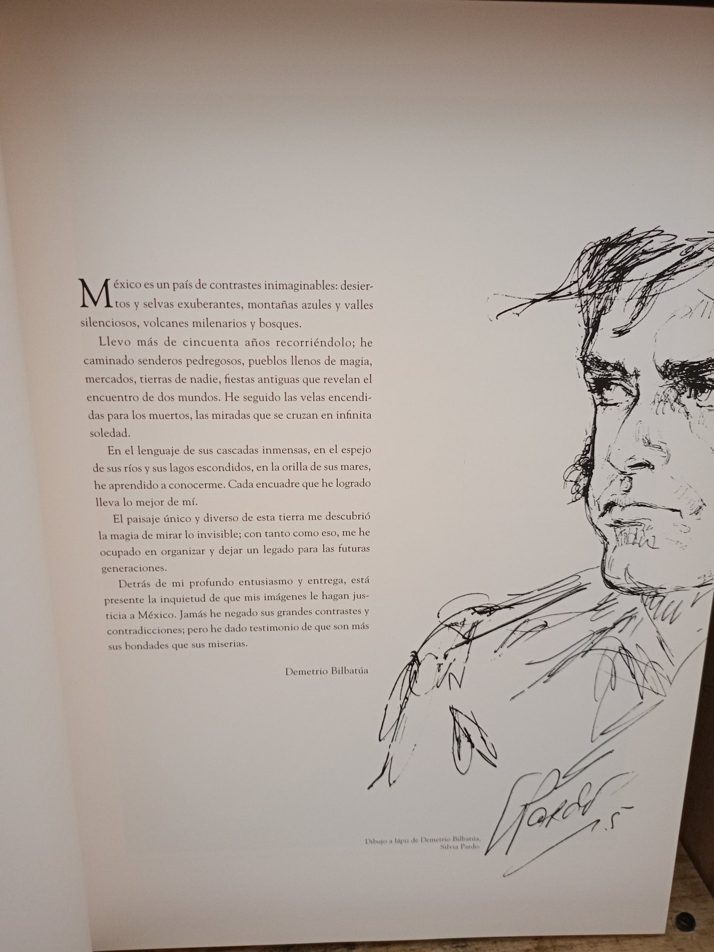 DEMETRIO BILBATÚA TESTIGO DE MÉXICO USADO HISTORIA LITERARIO 305