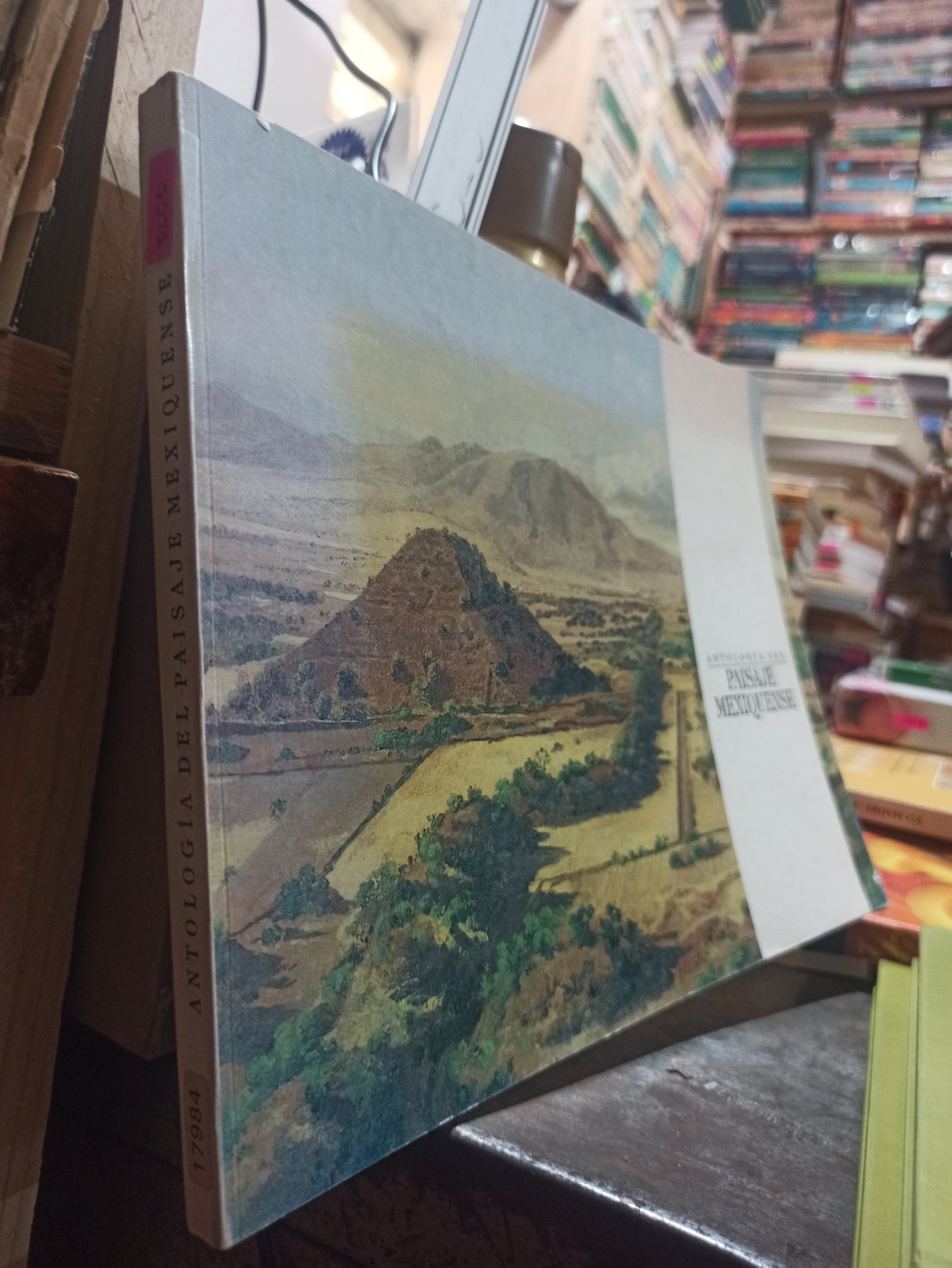 ANTOLOGIA DEL PAISAJE MEXIQUENSE POR INSTITUTO MEXIQUENSE DE CULTURA USADO ARTES ALDAMA