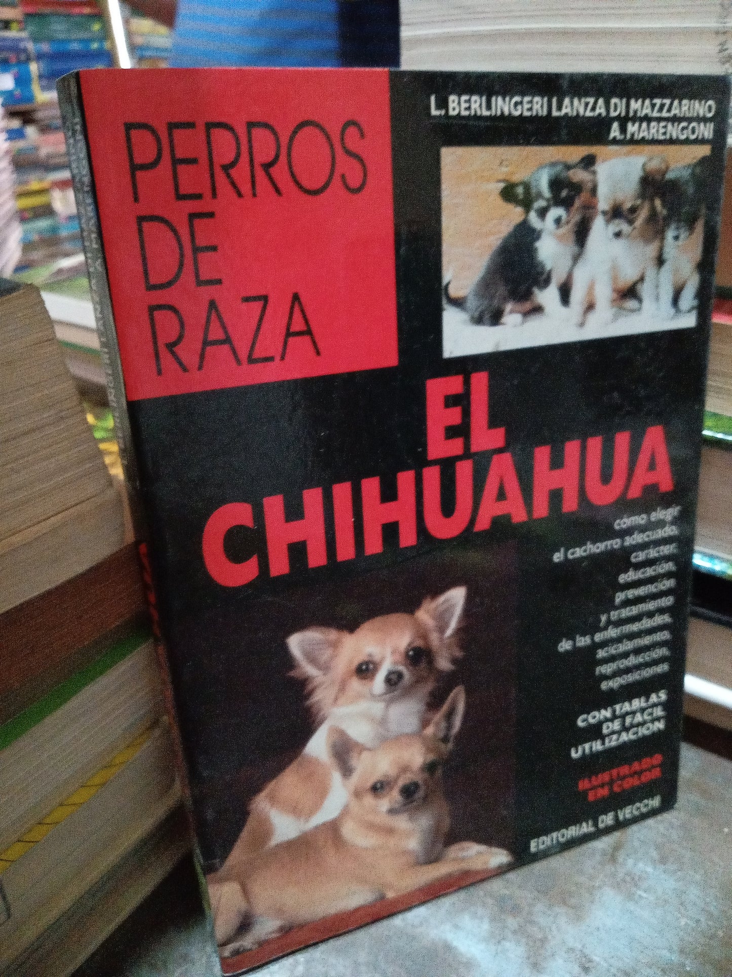 EL CHIHUAHUA POR L BERLINGERI LANZA USADO BIOLOGIA ALDAMA