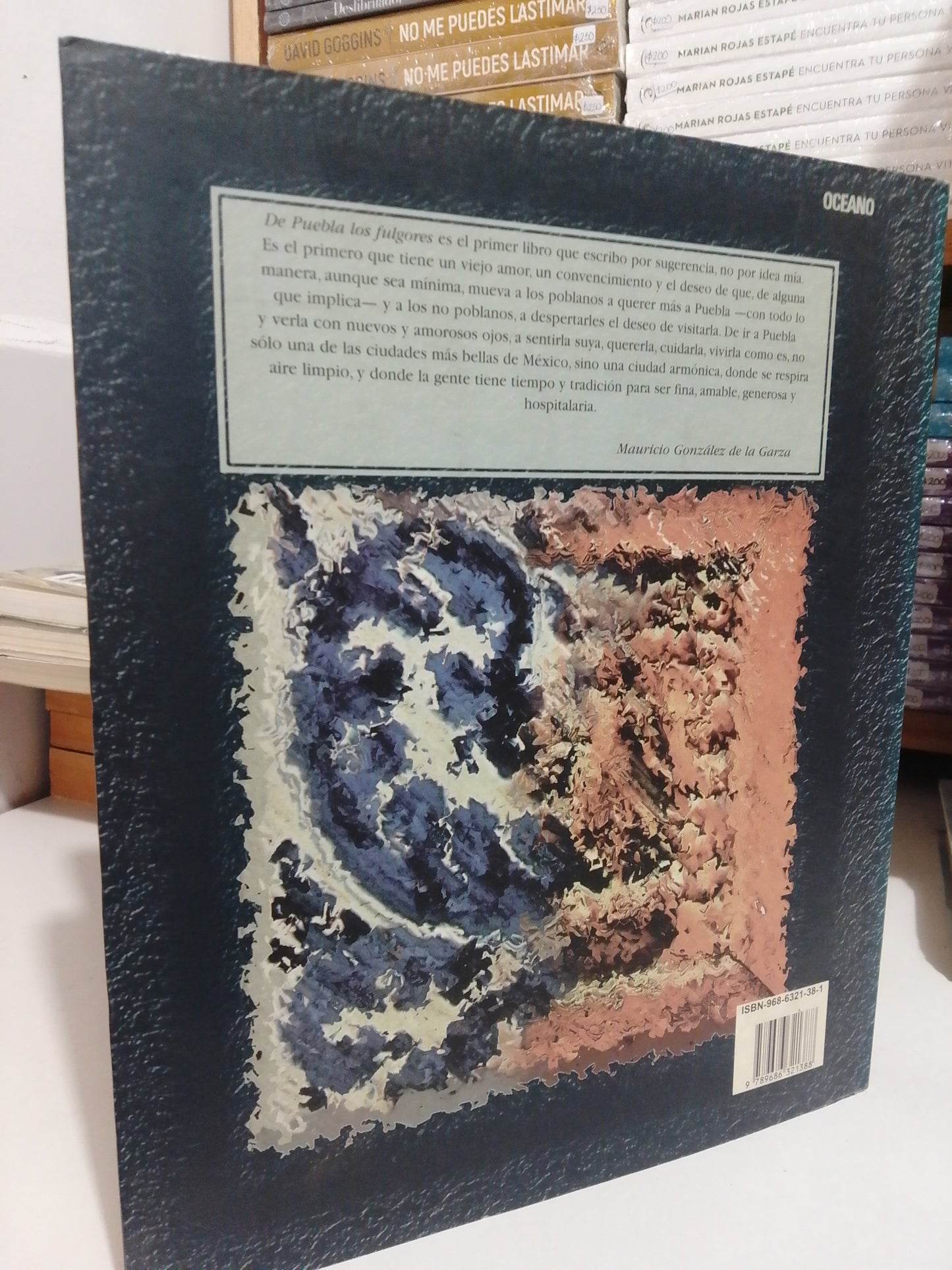 DE PUEBLA LOS FULGORES POR MAURICIO GONZÁLEZ DE LA GARZA USADO NOVELA JUÁREZ