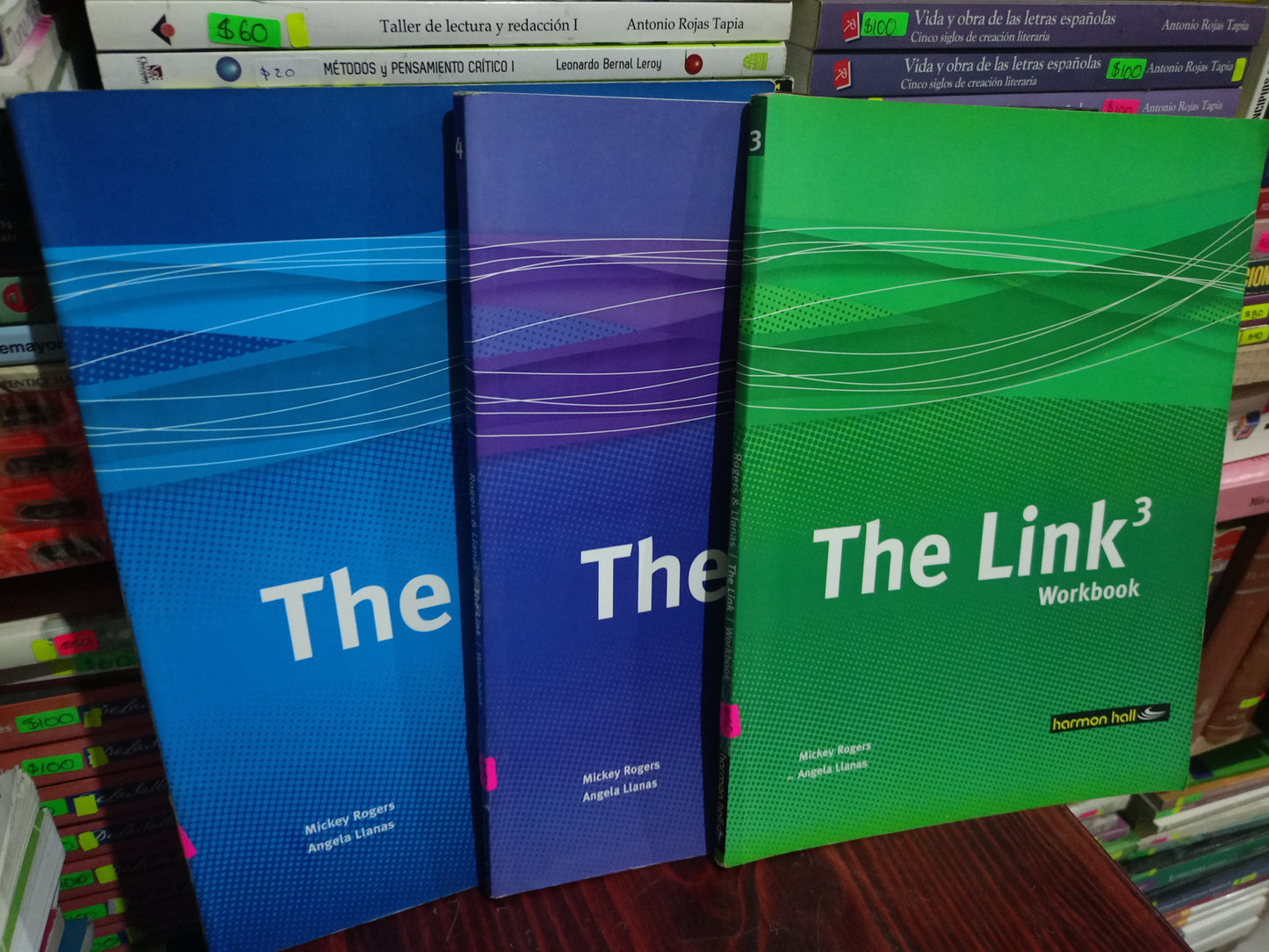 THE LINK USADO IDIOMAS LITERARIO 305