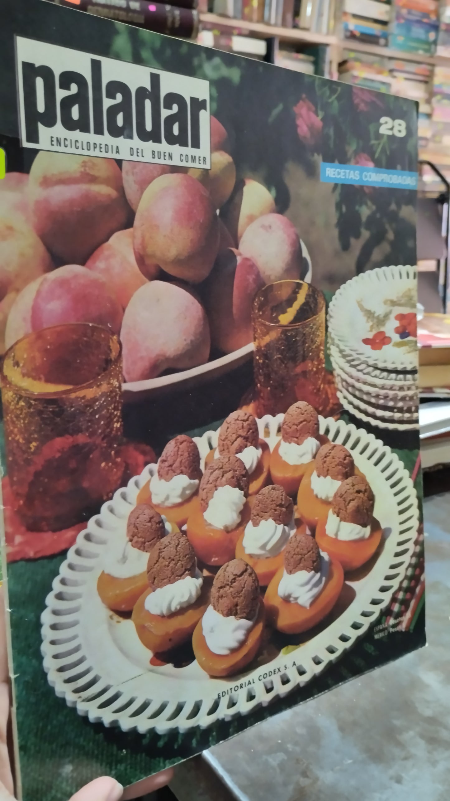 PALADAR RECETAS COMPROBADAS 28 LIBRO USADO COCINA ALDAMA