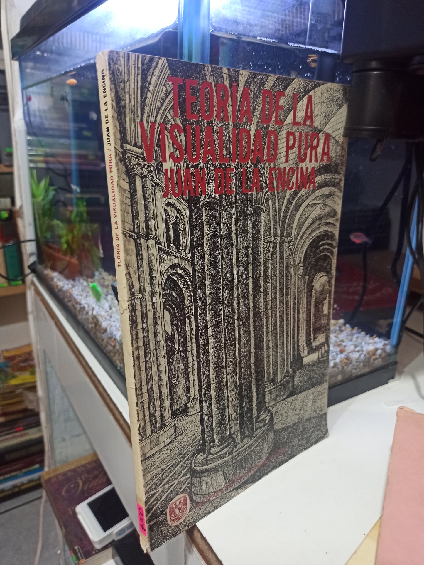 TEORIA DE LA VISUALIDAD PURA POR JUAN DE LA ENCIMA USADO OFICIOS JUÁREZ