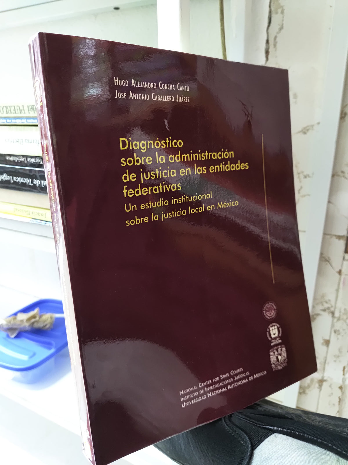 DIAGNOSTICO SOBRE LA ADMINISTRACION DE JUSTICIA EN LAS ENTIDADES FEDERATIVAS POR HUGO ALEJANDRO CONCHA USADO DERECHO JUAREZ 515