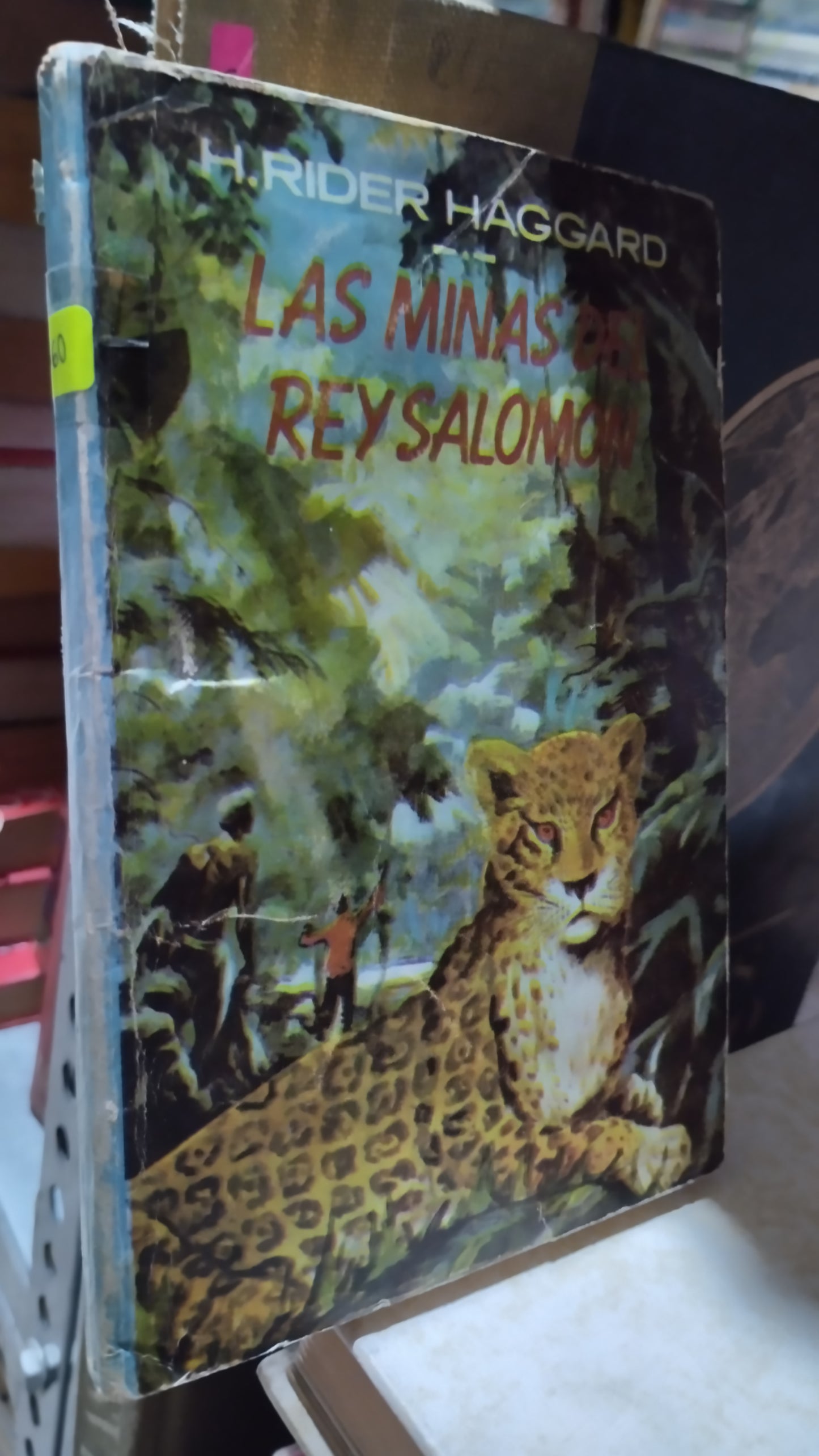 LAS MINAS DEL REY SALOMON RIDER HAGGARD LIBRO USADO NOVELAS ALDAMA