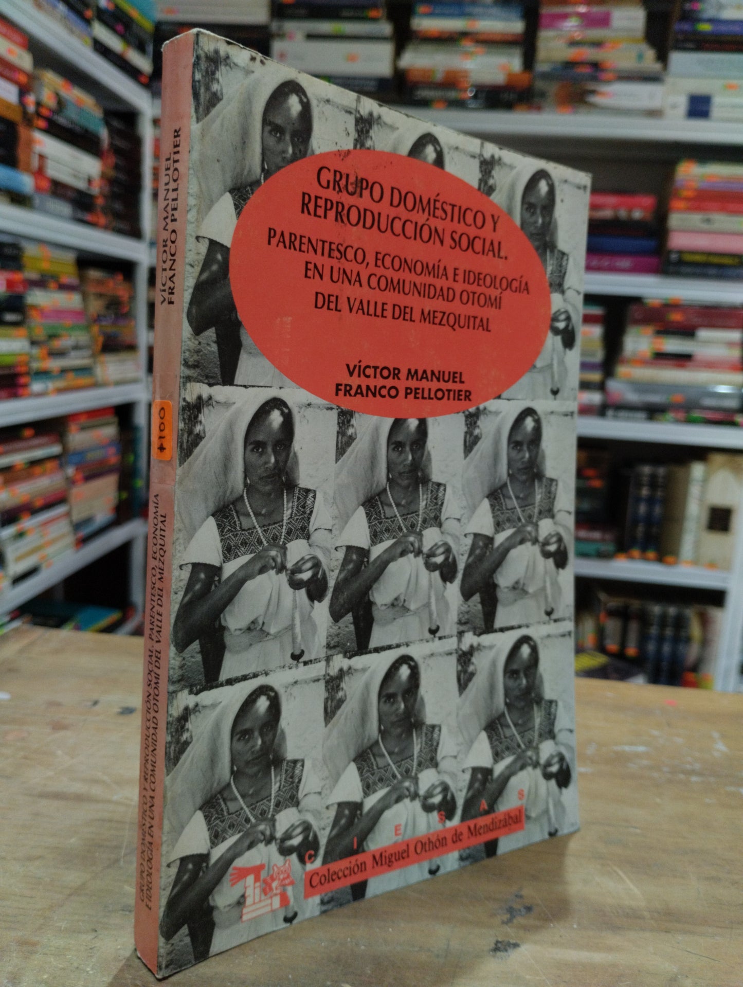 GRUPO DOMESTICO Y REPRODUCCION SOCIAL PARENTESCO ECONOMIA E IDEOLOGIA EN UNA COMUNIDAD OTOMI DEL VALLE DEL MEZQUITAL POR VICTOR MANUEL FRANCO PELLOTIER USADO SOCIOLOGIA JUAREZ 515