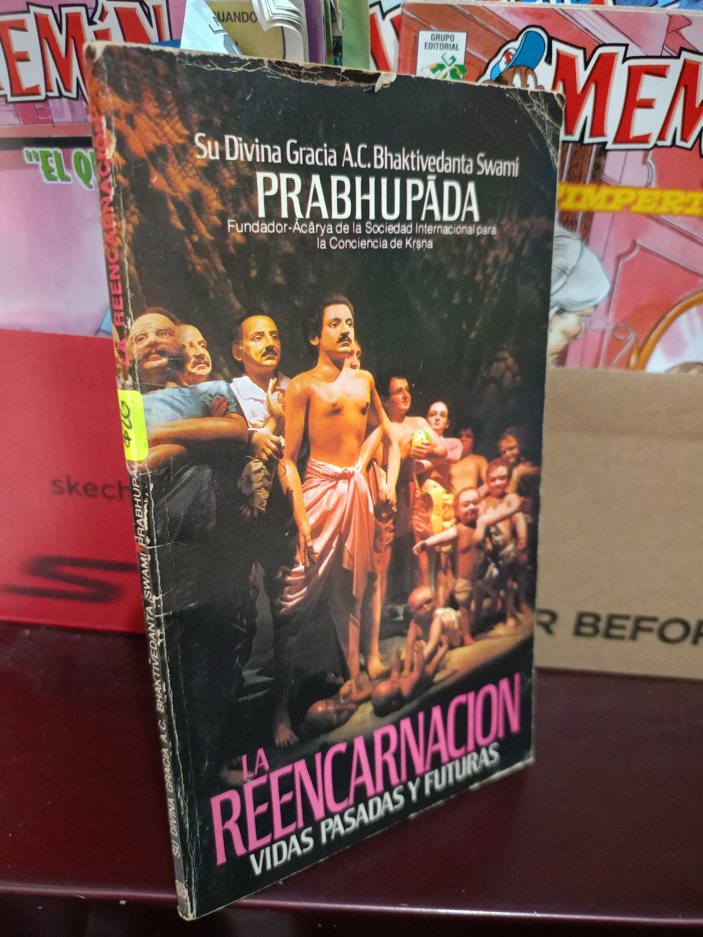 LA REENCARNACION VIDAS PASADAS Y FUTURAS USADO ESOTERISMO LITERARIO 305