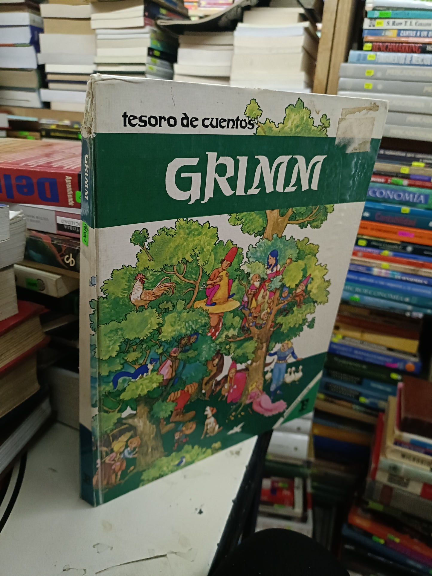 TESORO DE CUENTOS POR LOS HERMANOS GRIMM USADO INFANTIL LITERARIO 207