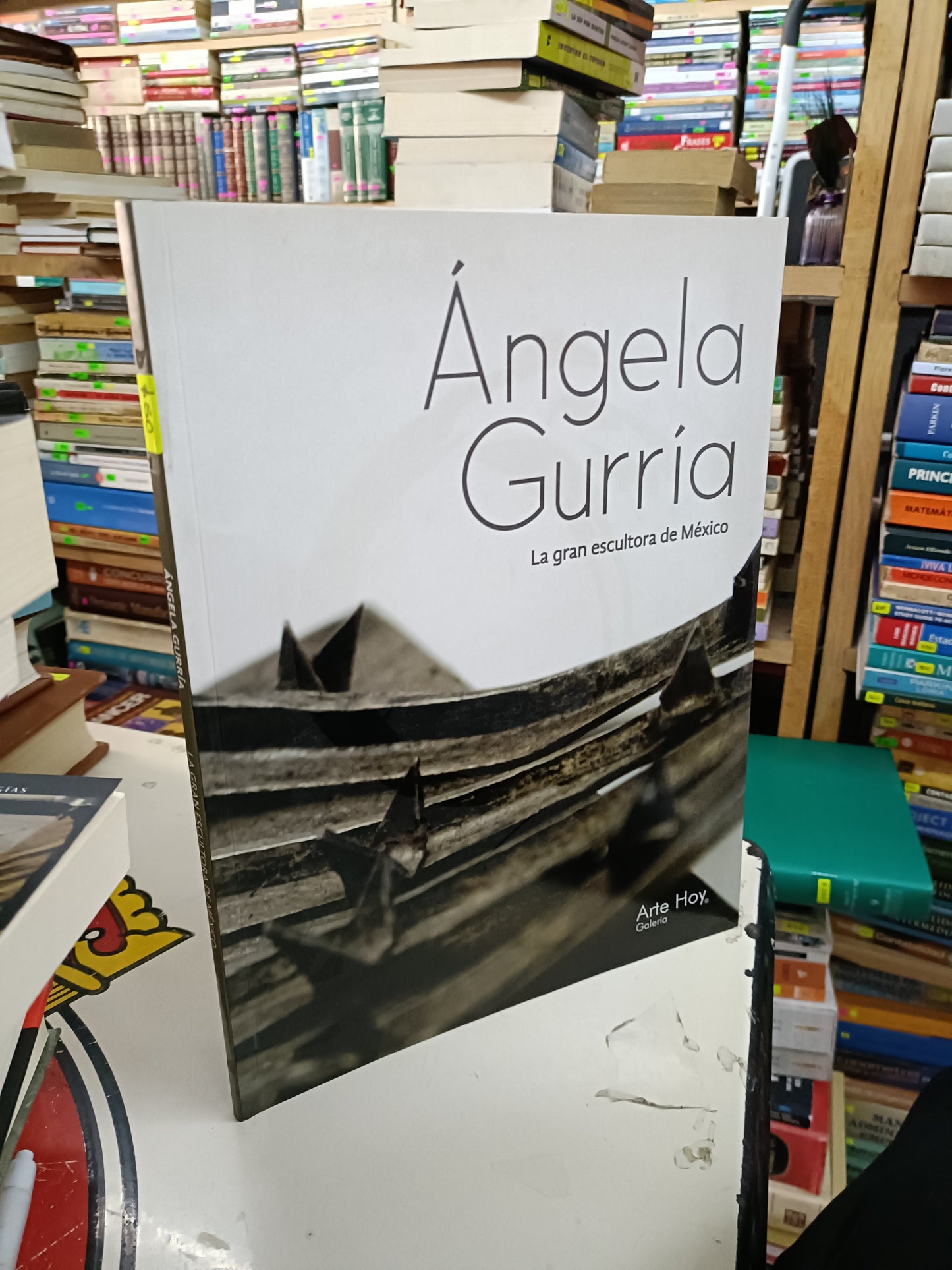 ÁNGELA GURRIA LA GRAN ESCULTORA DE MÉXICO USADO ARTE LITERARIO 207