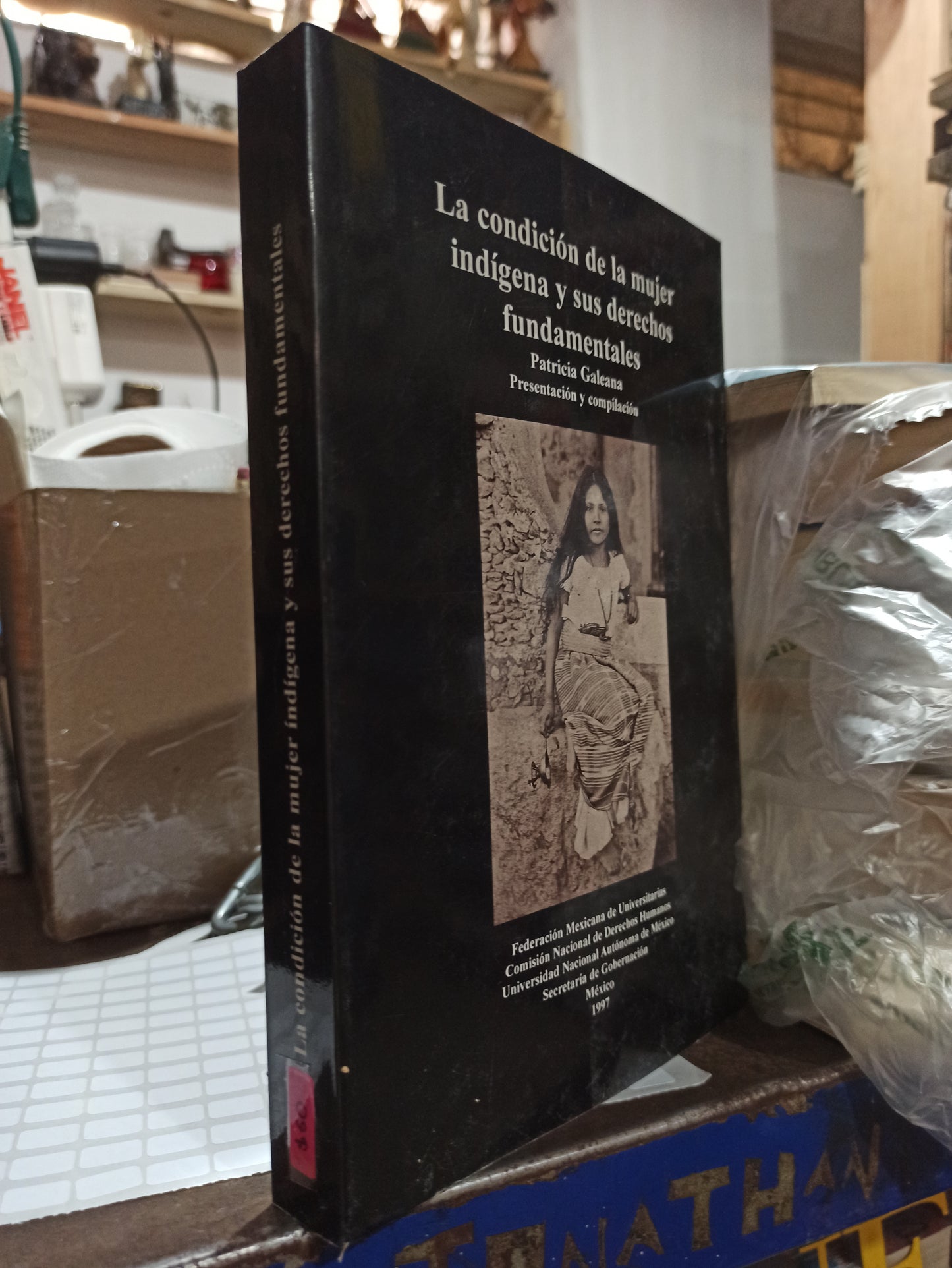 LA CONDICION DE LA MUJER INDIGENA Y SUS DERECHOS FUNDAMENTALES POR PATRICIA GALEANA USADO SOCIOLOGIA ALDAMA
