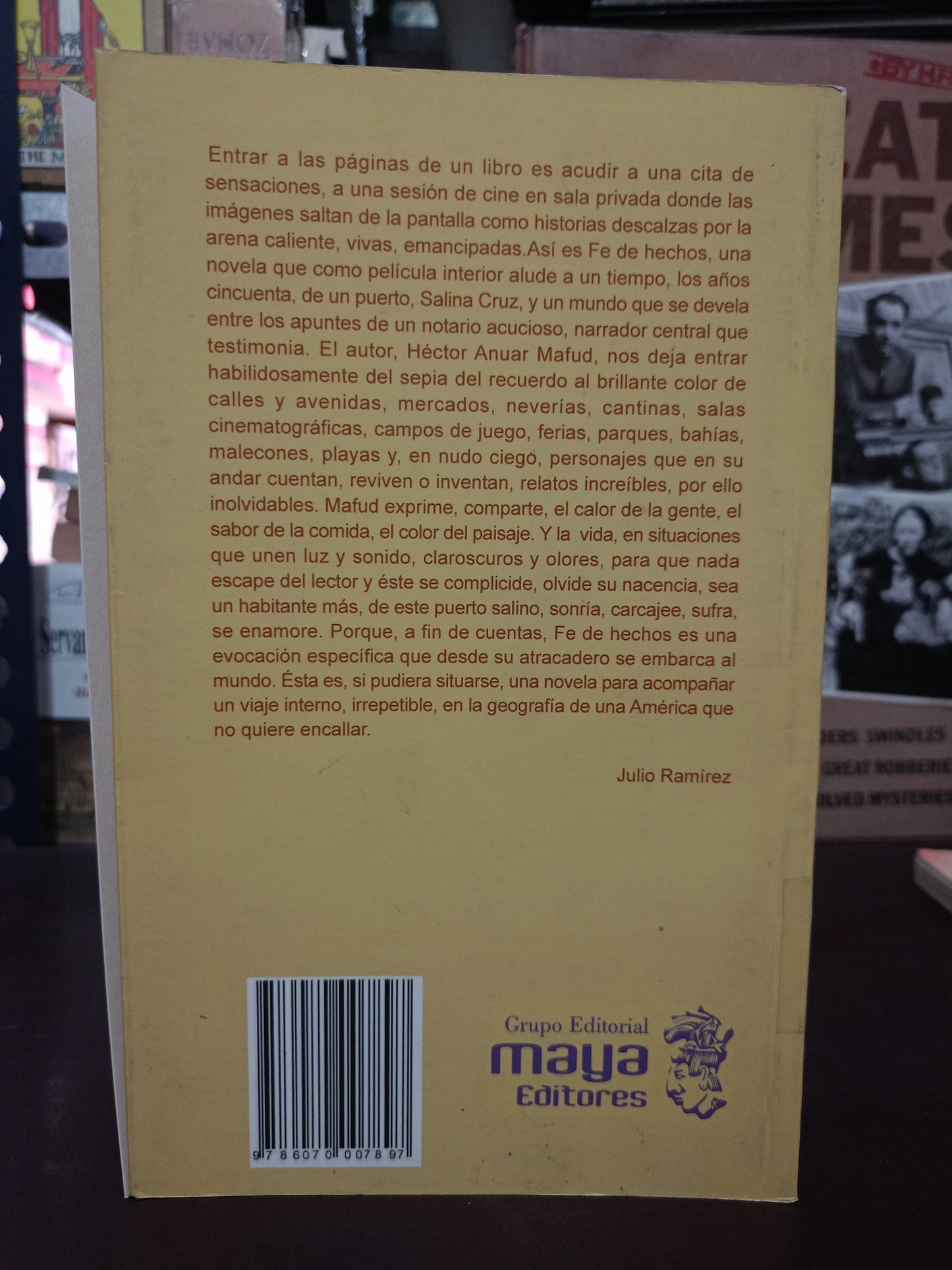 FE DE HECHOS POR HECTOR ANUAR MAFUD USADO NOVELA LITERARIO 305