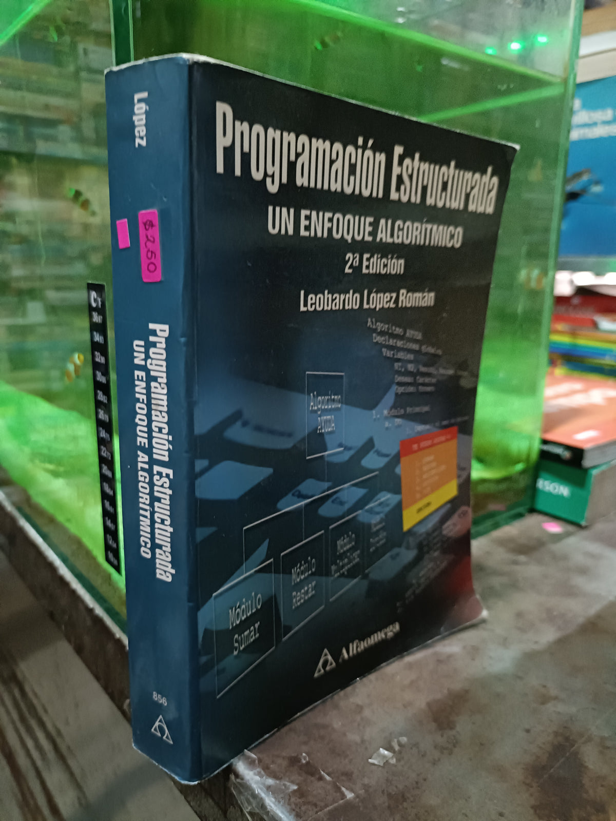 PROGRAMACION ESTRUCTURADA UN ENFOQUE ALGORITMICO POR LEOBARDO LOPEZ ROMAN USADO MATEMÁTICAS ALDAMA