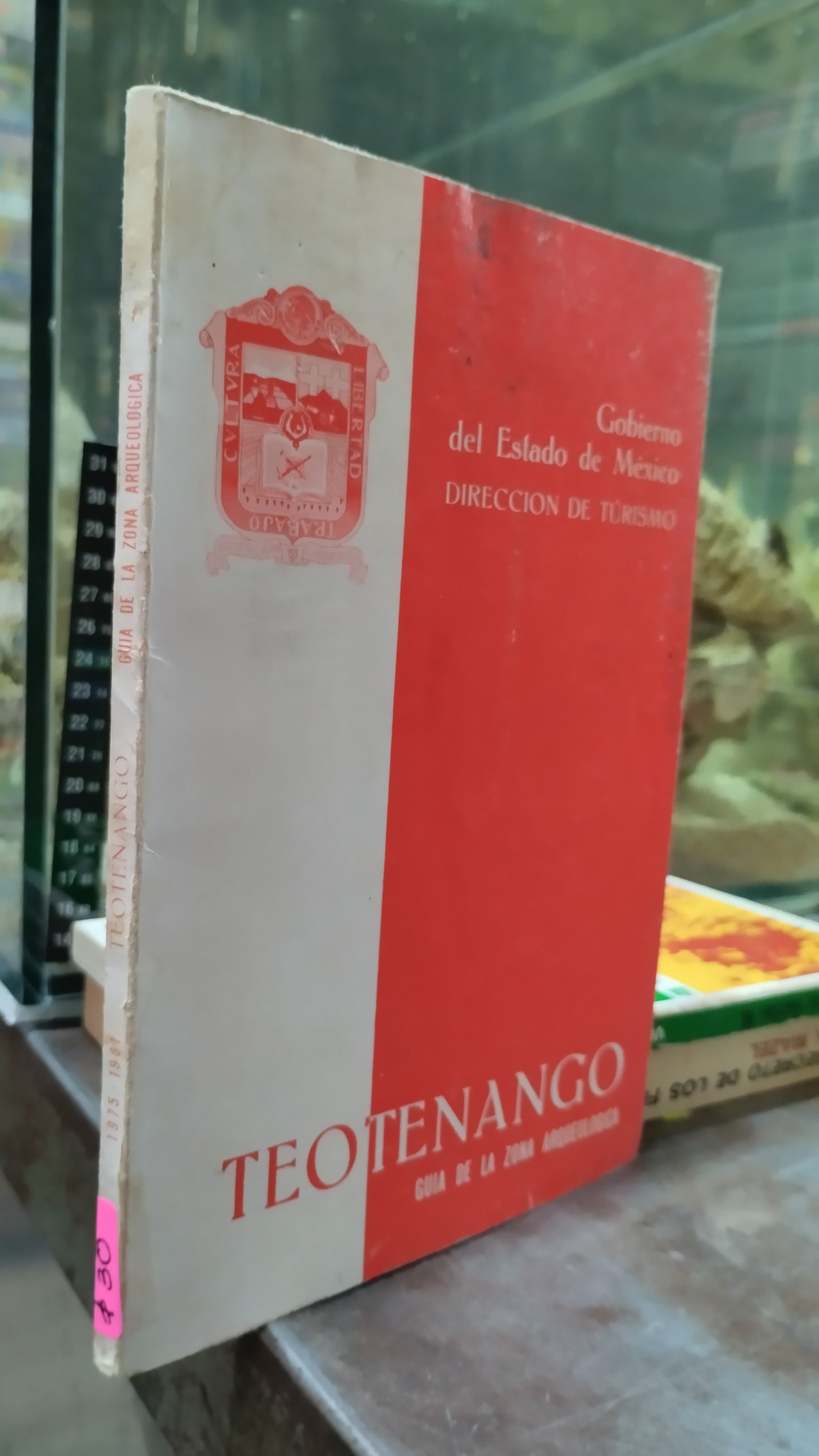 TEOTENANGO GUIA DE LA ZONA ARQUEOLOGICA LIBRO USADO HISTORIA ALDAMA