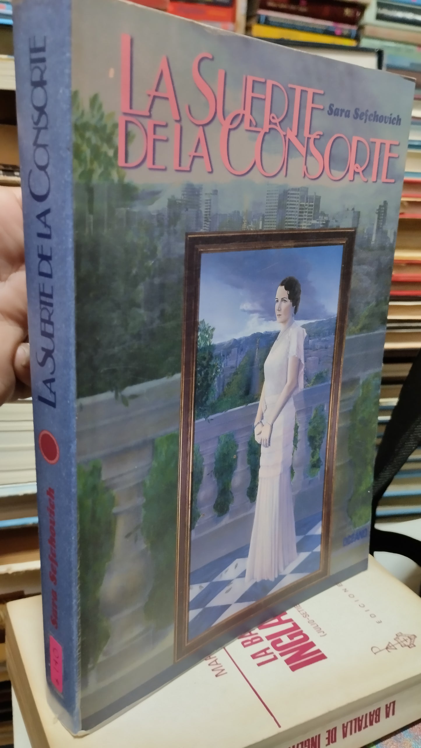 LA SUERTE DE LA CONSORTE POR SARA SEFCHVICH LIBRO USADO NOVELAS ALDAMA