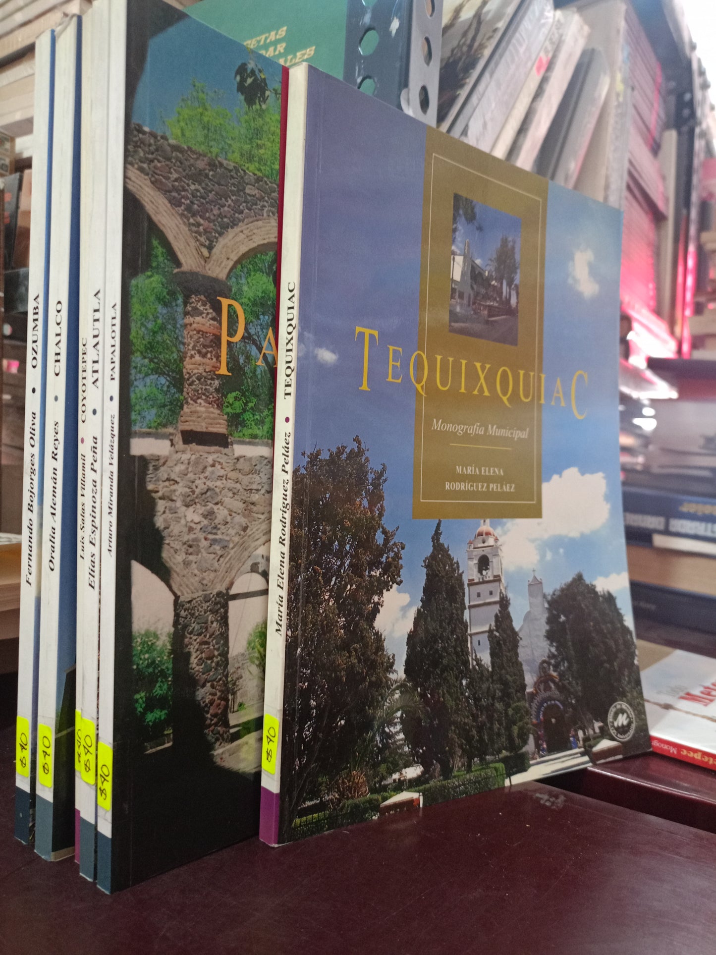 MONOGRAFIAS MUNICIPALES USADO HISTORIA LITERARIO 305