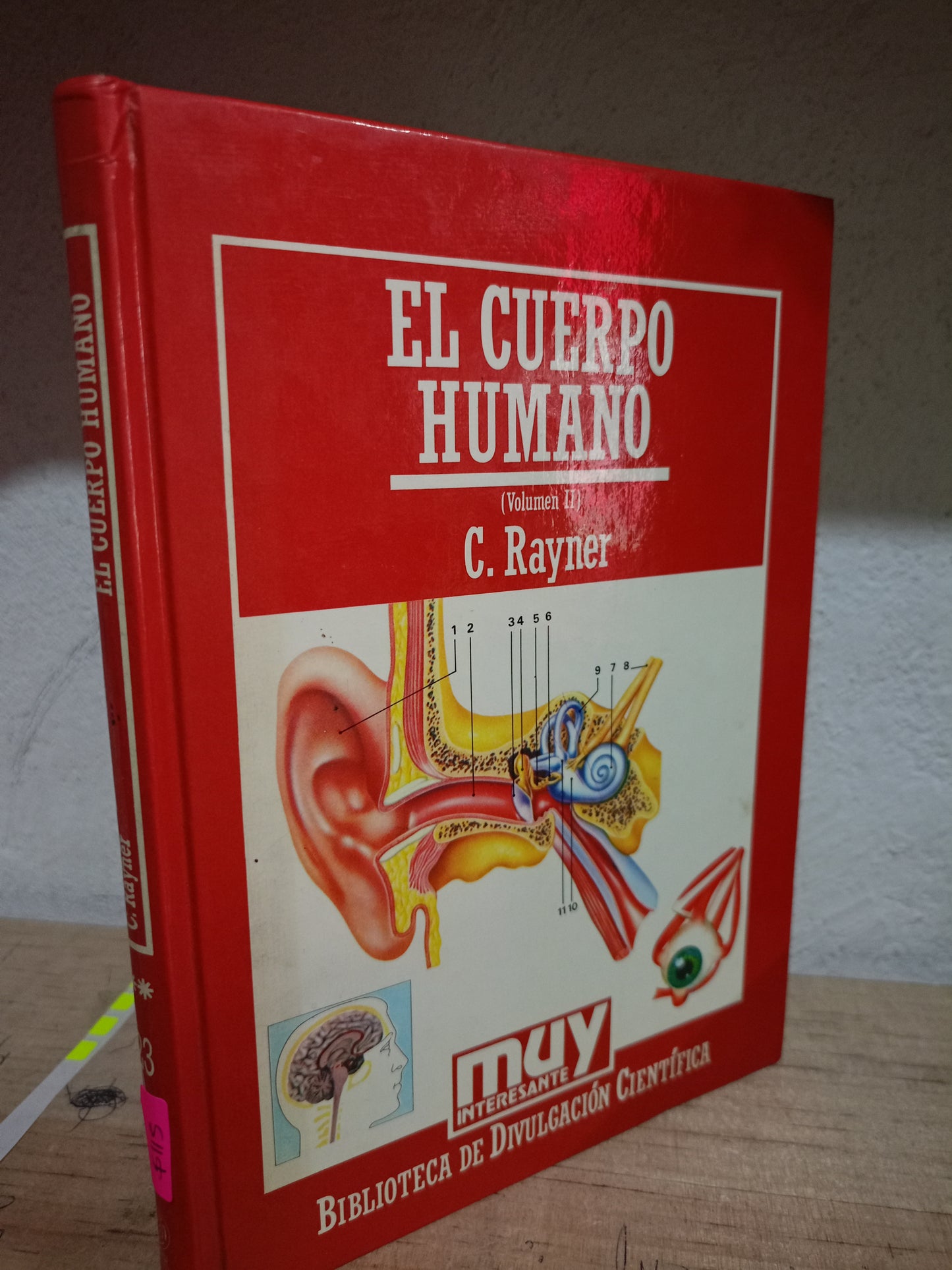 EL CUERPO HUMANO POR C. RAYNER USADO CIENCIA LITERARIO 305