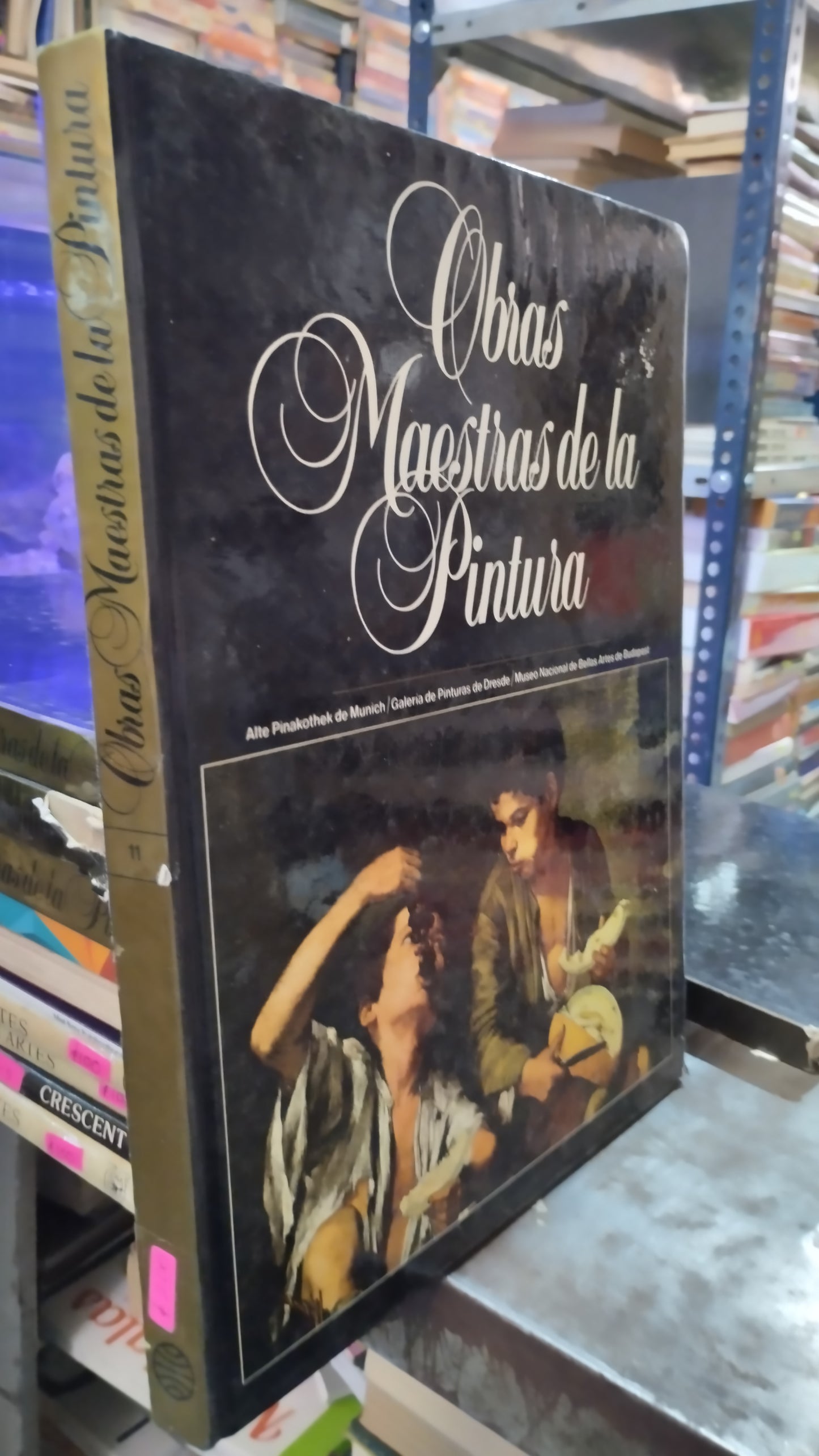 OBRAS MAESTRAS DE LA PINTURA 11 LIBRO USADO ARTE ALDAMA