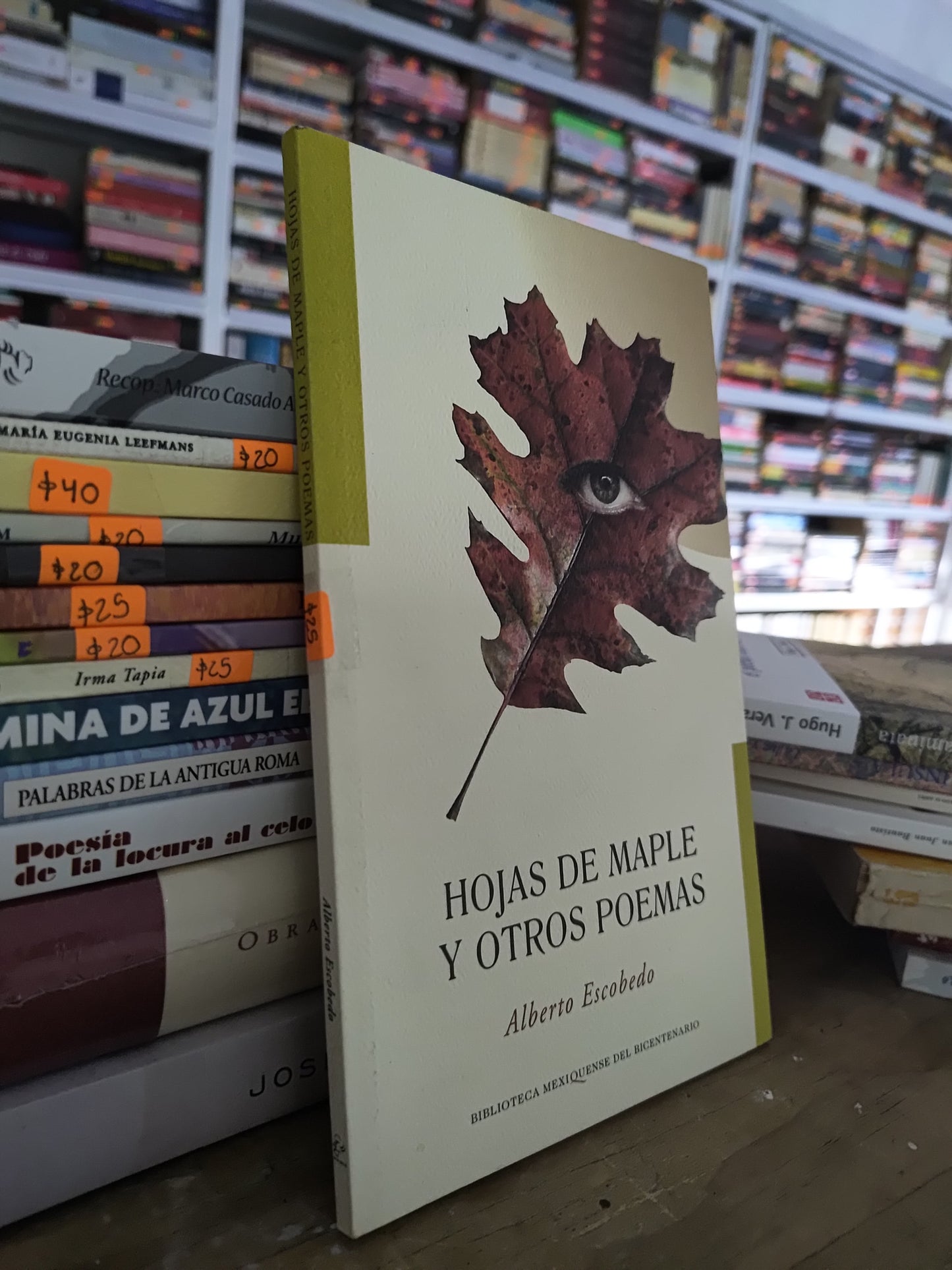 HOJAS DE MAPLE Y OTROS POEMAS POR ALBERTO ESCOBEDO USADO POESIA JUAREZ 515