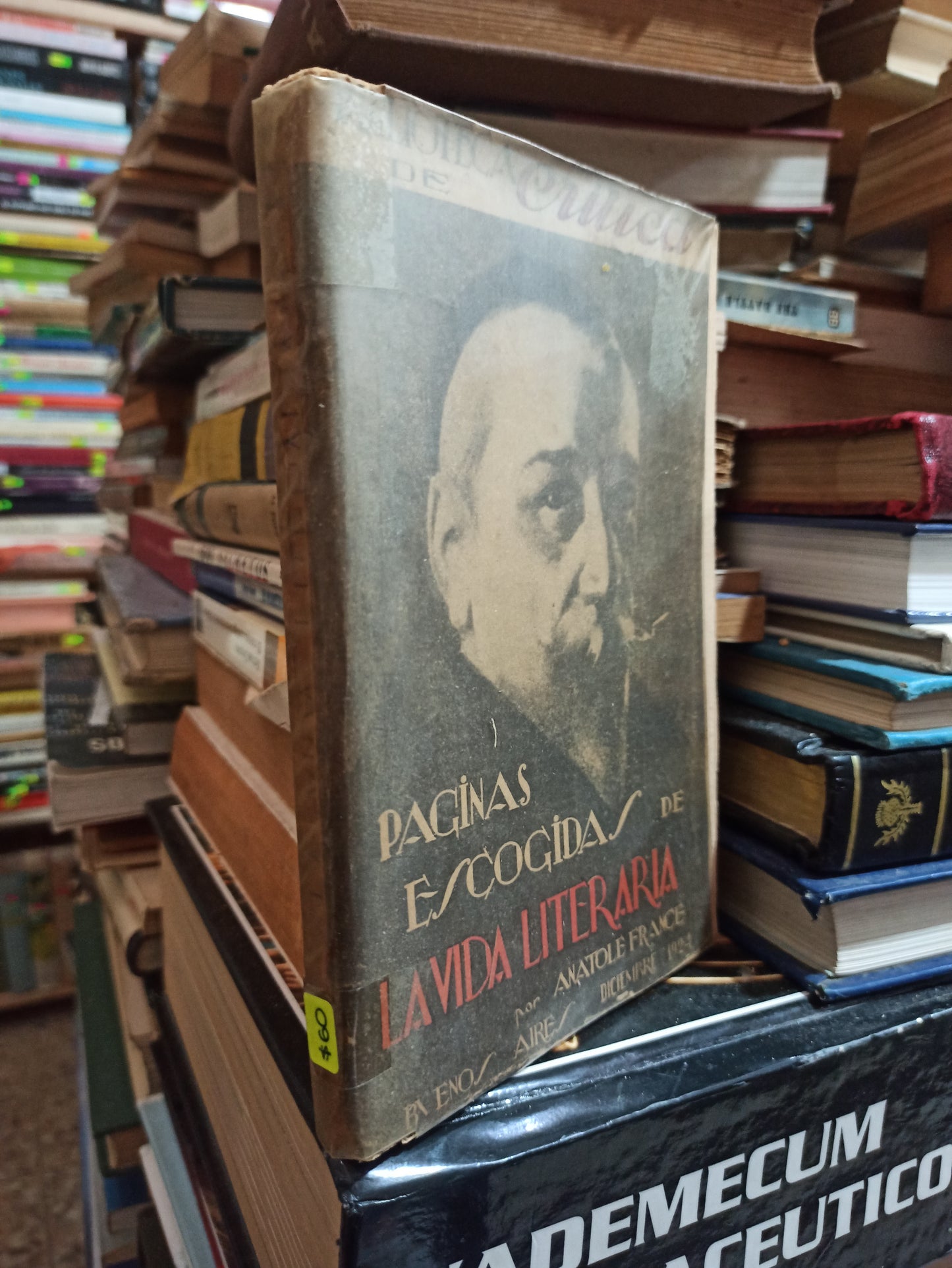 PAGINAS ESCOGIDAS DE LA VIDA LITERARIA POR ANTOLE FRANCE USADO NOVELAS ALDAMA