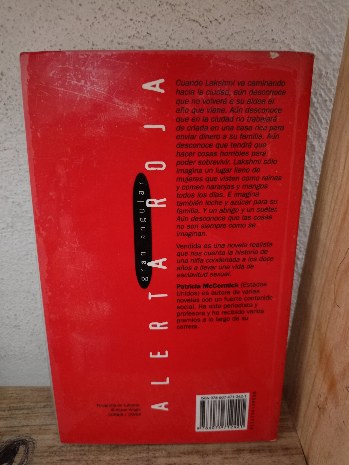 VENDIDA POR PATRICIA MCCORMICK USADO NOVELA LITERARIO 305