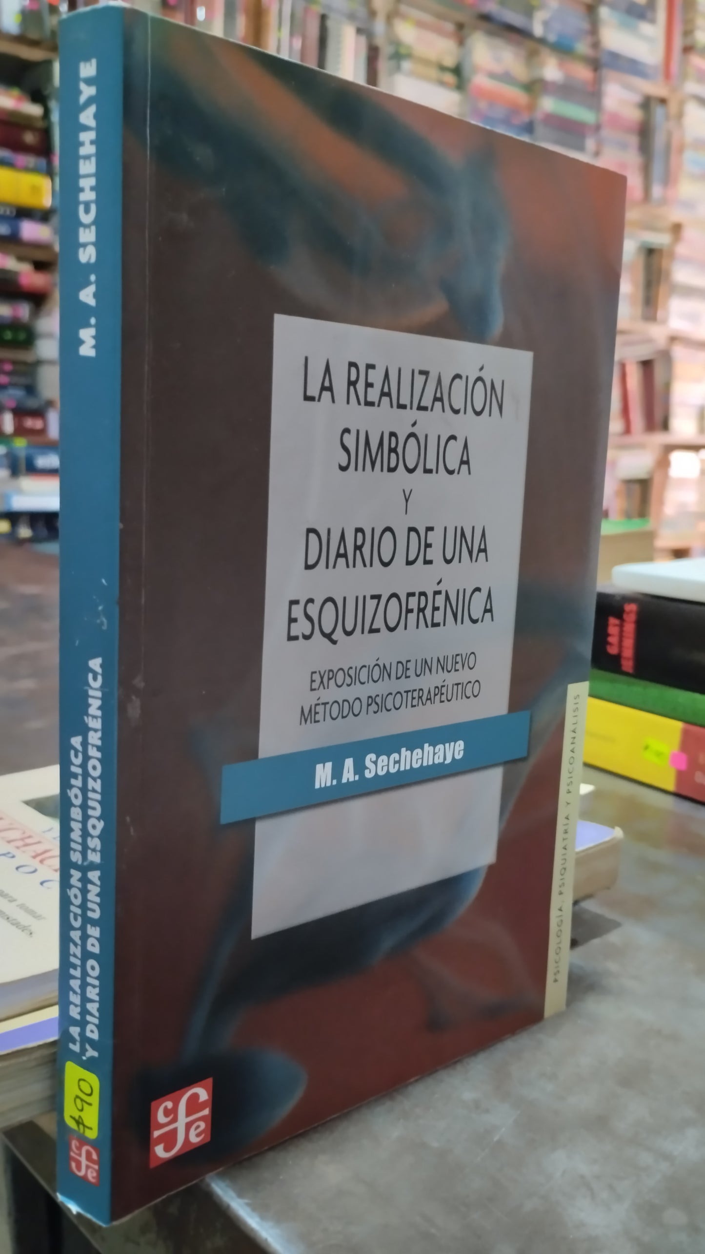 LA REALIZACION SIMBOLICA Y DIARIO DE UNA ESQUIZOFRENICA POR M A SECHEHAYE LIBRO USADO PSICOLOGIA ALDAMA