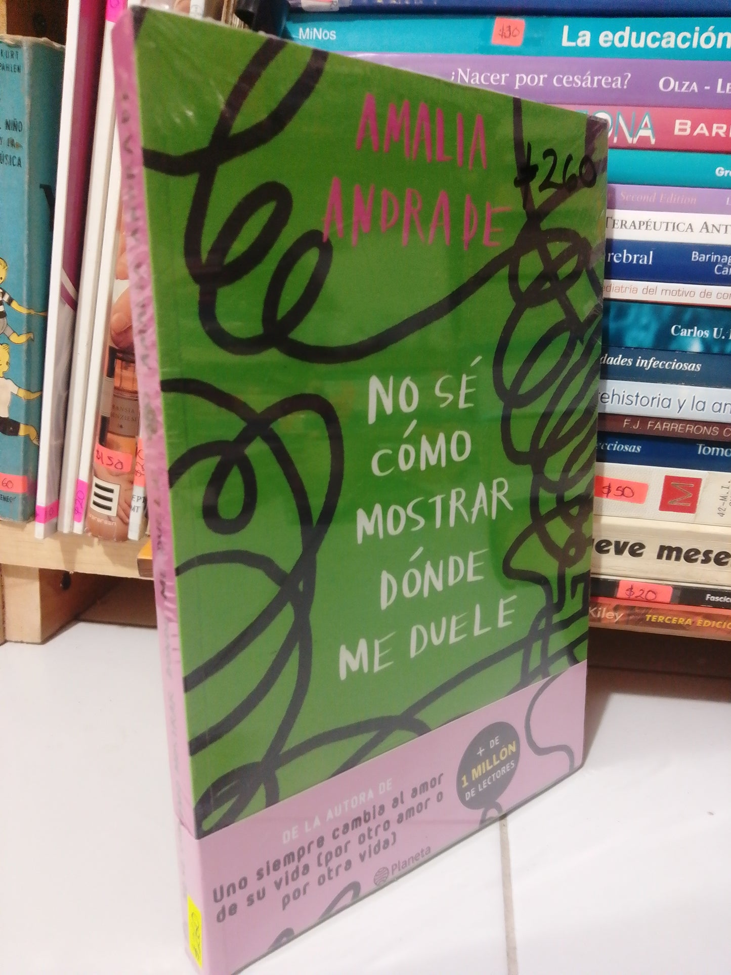 NO SE COMO MOSTRAR DONDE ME DUELE POR AMALIA ANDRADE NUEVO JUAREZ