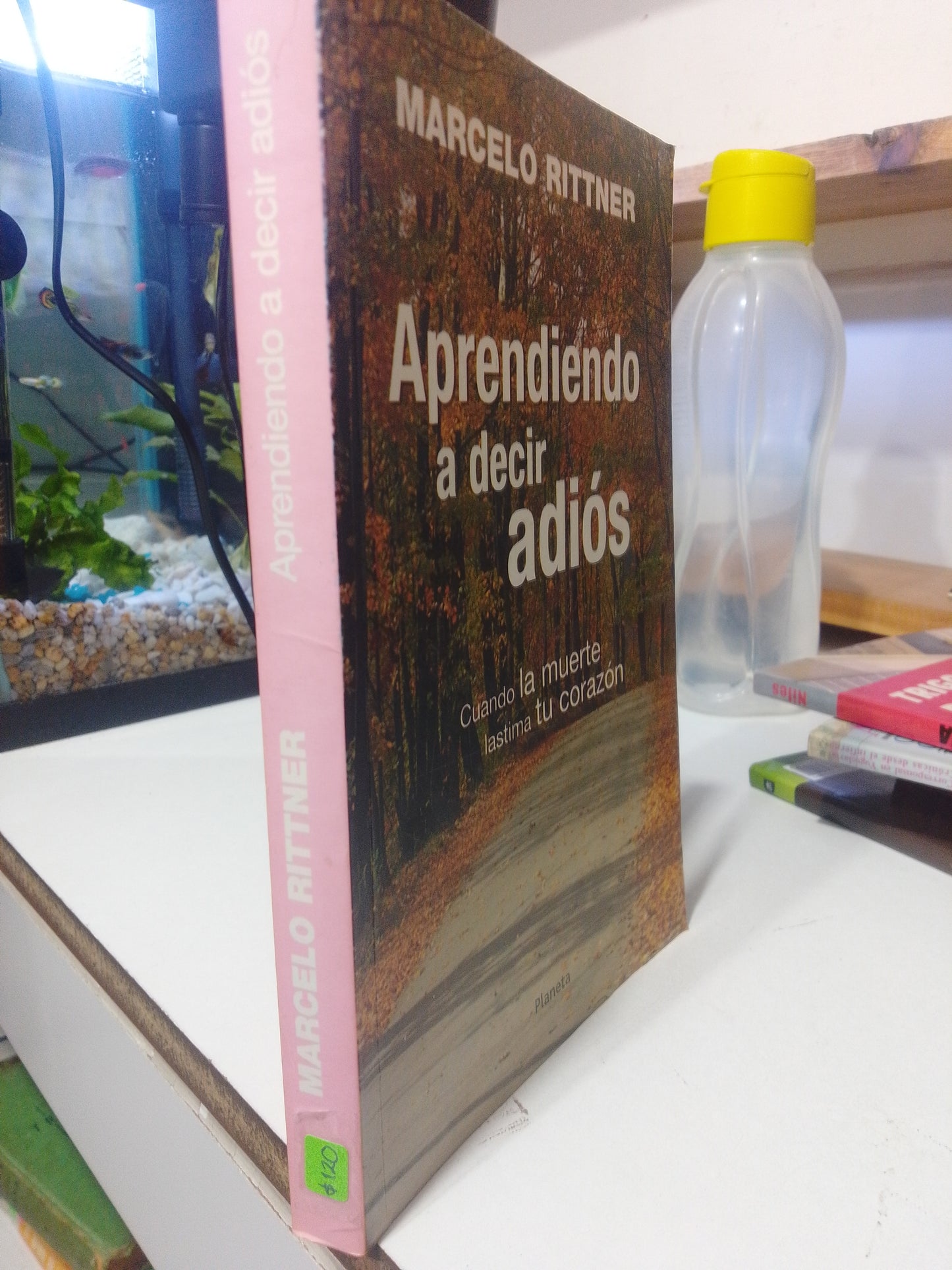 APRENDIENDO A DECIR ADIOS POR MARCELO RITTER USADO SUPERACIÓN PERSONAL JUAREZ