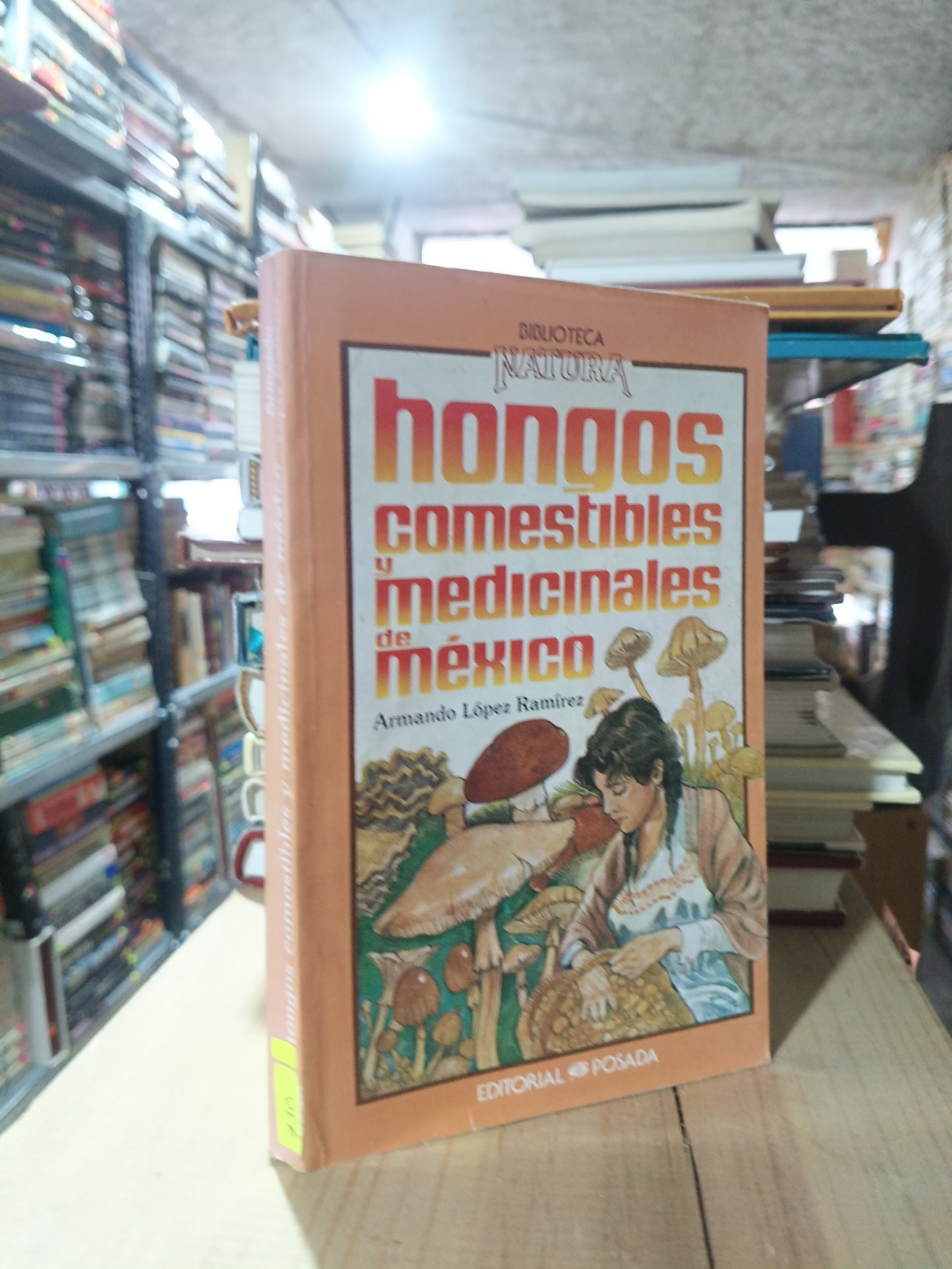 HONGOS COMESTIBLES Y MEDICINALES DE MÉXICO POR ARMANDO LÓPEZ RAMÍREZ USADO SALUD ALDAMA