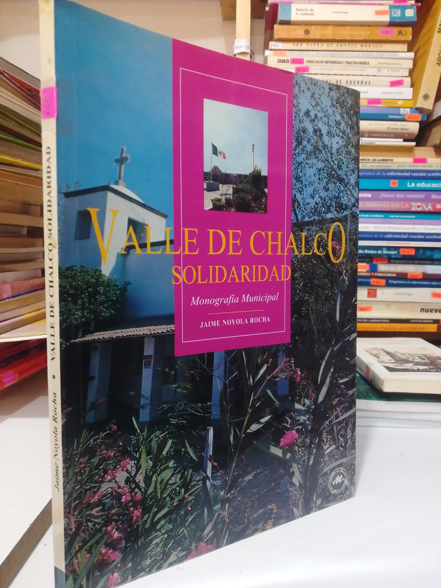 VALLE DE CHALCO SALODARIDAD MONOGRAFIA POR JAIME NOYOLA USADO EDO. MEX JUAREZ