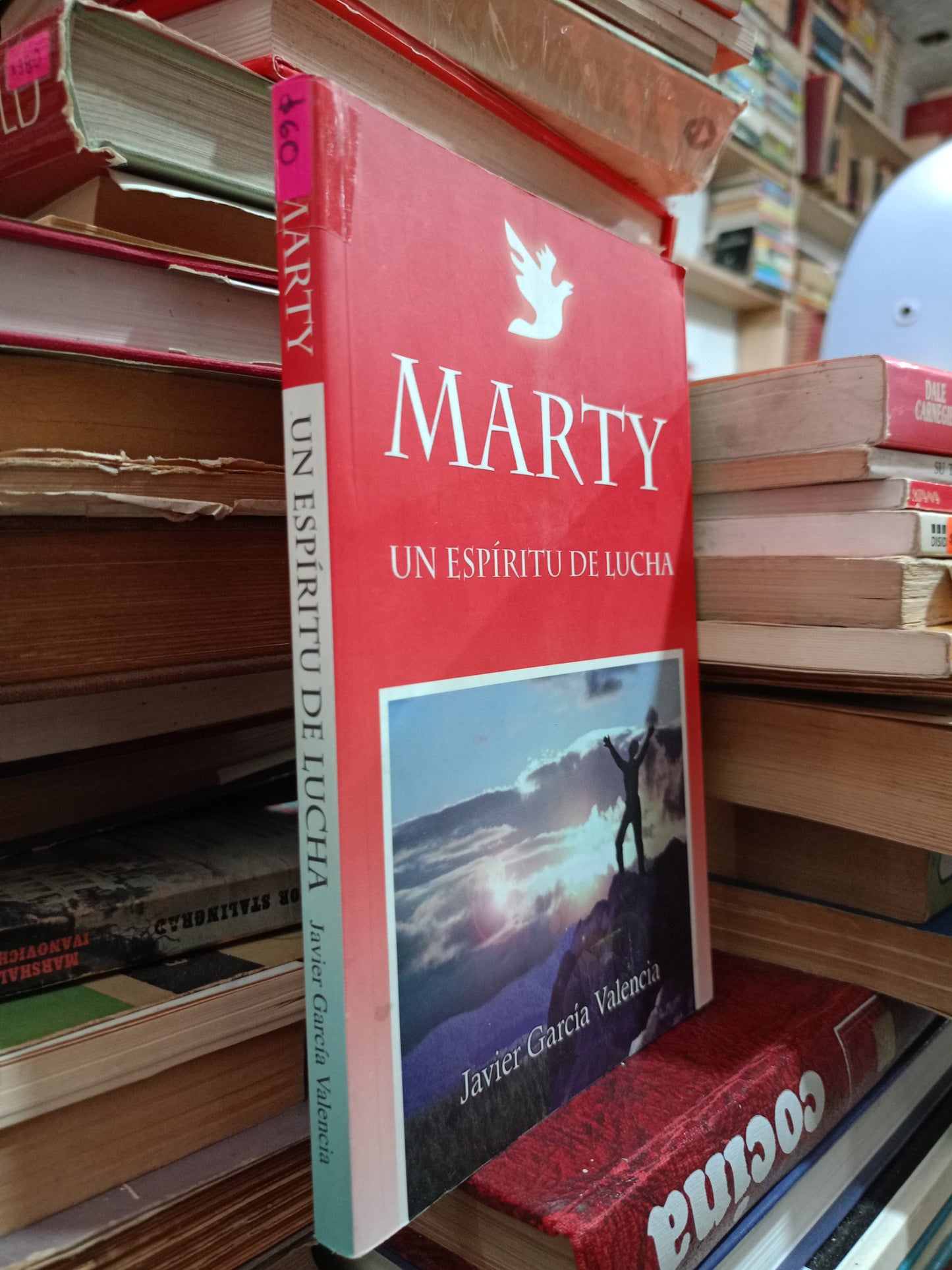 MARTY UN ESPÍRITU DE LUCHA POR JAVIER GARCÍA VALENCIA USADO SUPERACIÓN PERSONAL ALDAMA