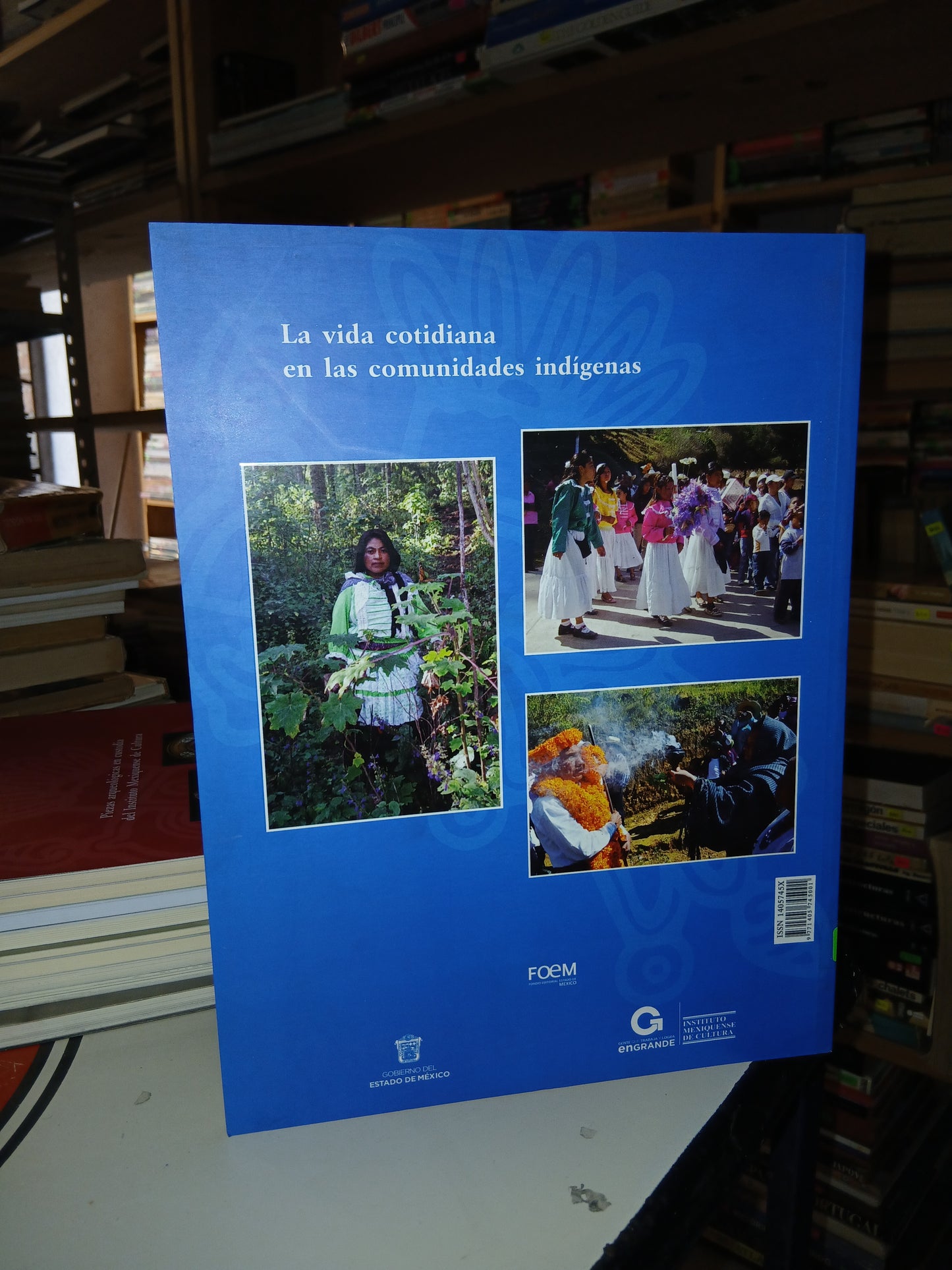 EXPRESIÓN ANTROPOLÓGICA N°48 (VARIOS AUTORES) USADO ANTROPOLOGÍA LITERARIO 207