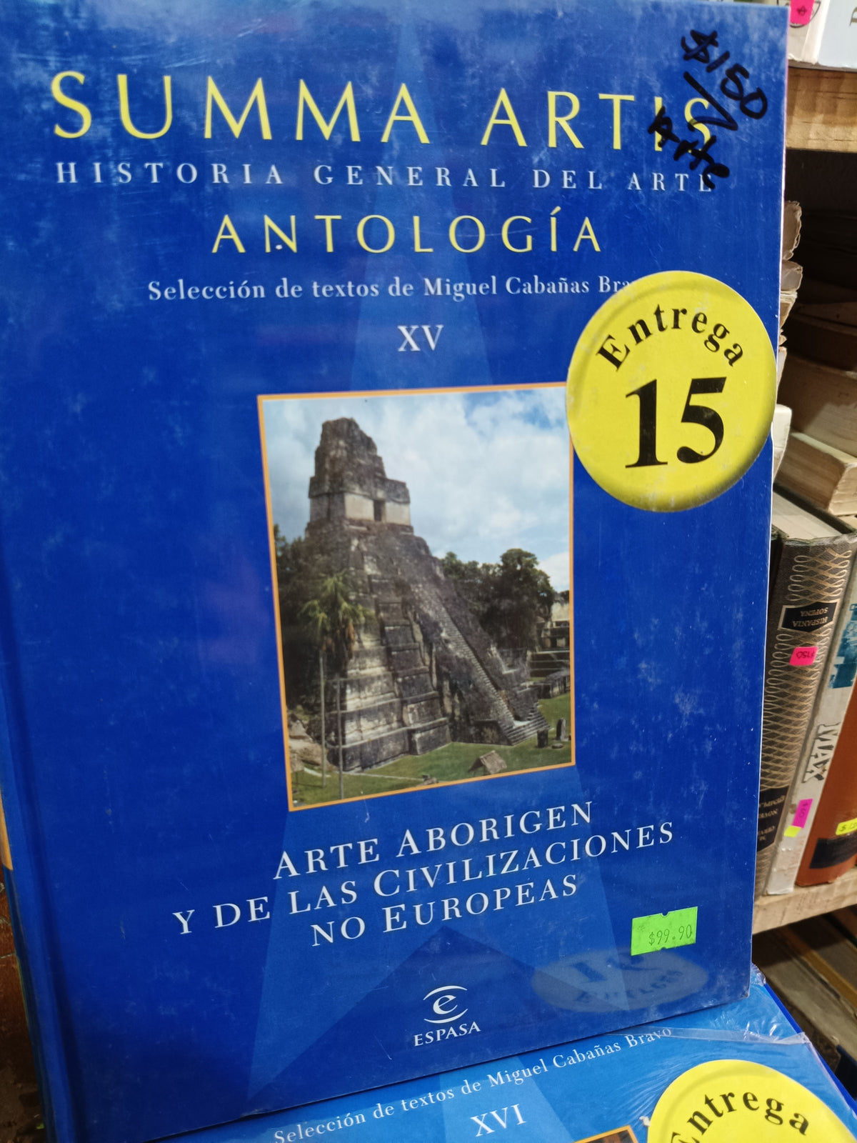 ARTE ABORIGEN Y DE LAS CIVILIZACIONES NO EUROPEAS SUMMA ARTIS ANTOLOGIA USADO ARTE LITERARIO 305