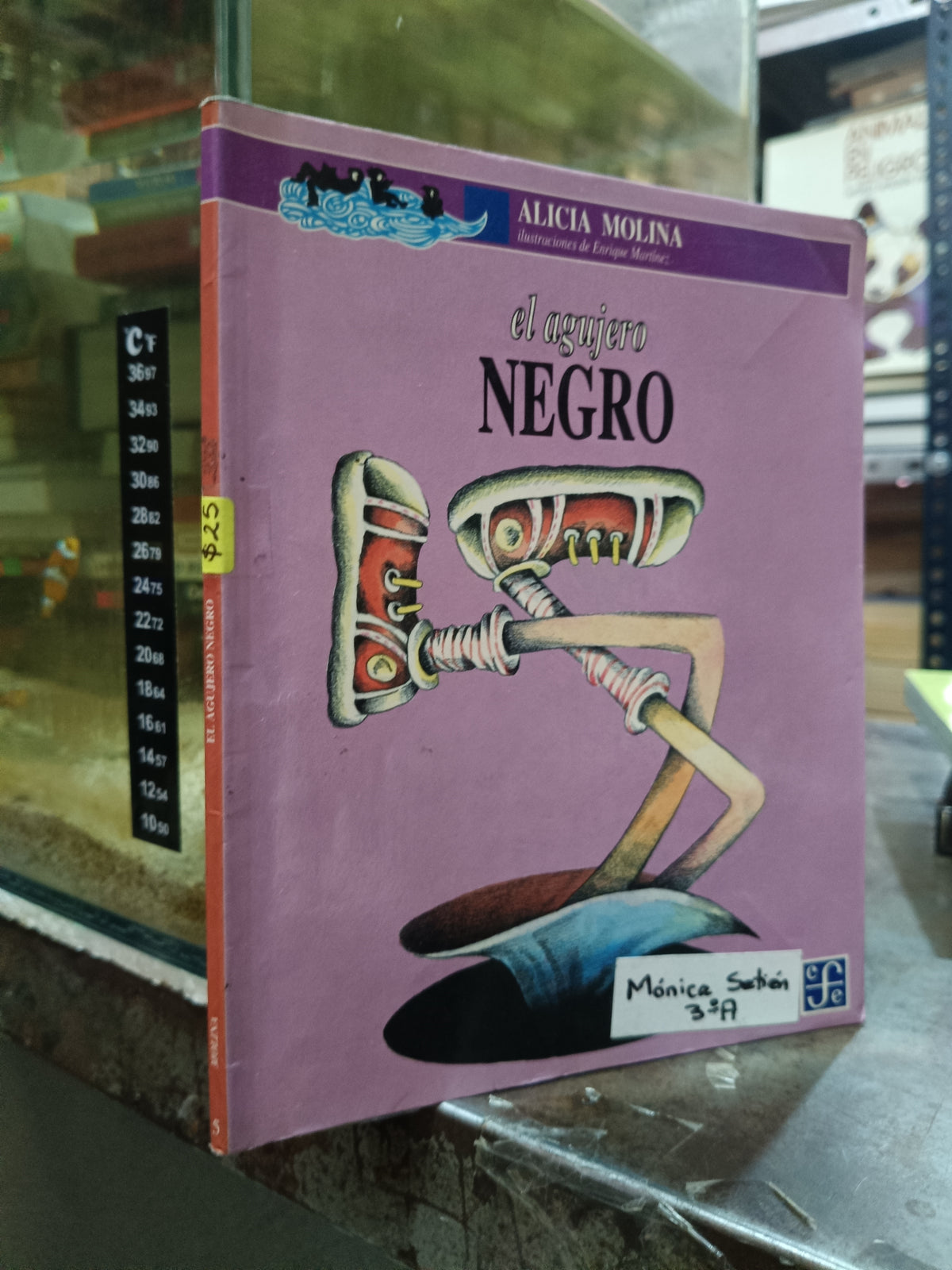 EL AGUJERO NEGRO POR ALICIA MOLINA USADO INFANTIL ALDAMA