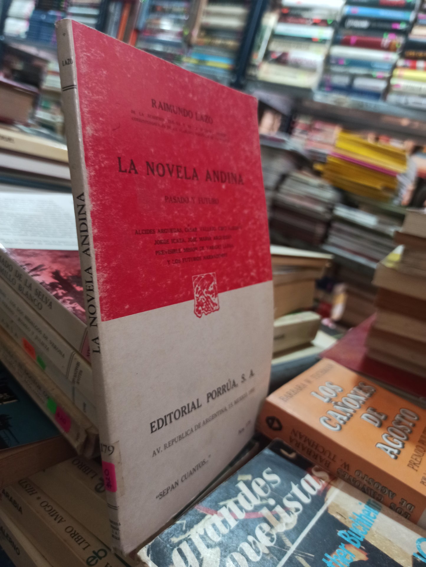 LA NOVELA DIVINA PASADO Y FUTURO RAIMUNDO LAZO USADO NOVELAS ALDAMA