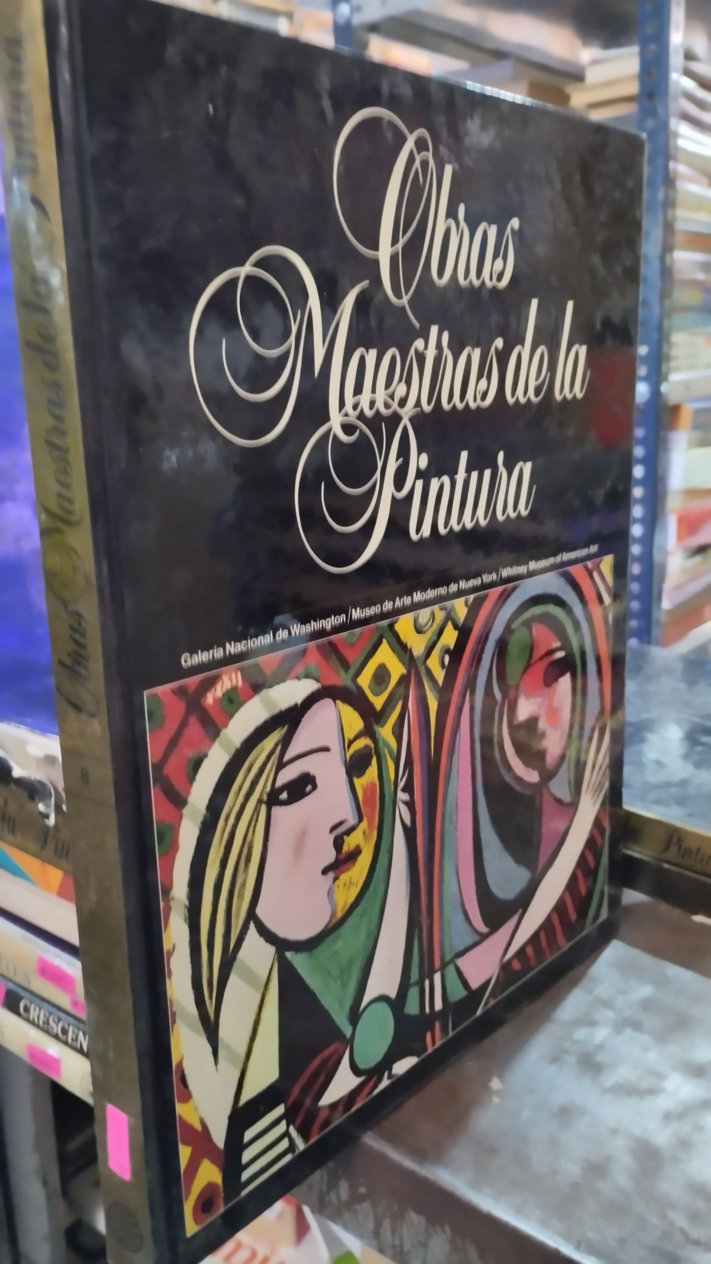 OBRAS MAESTRAS DE LA PINTURA 8 LIBRO USADO ARTE ALDAMA