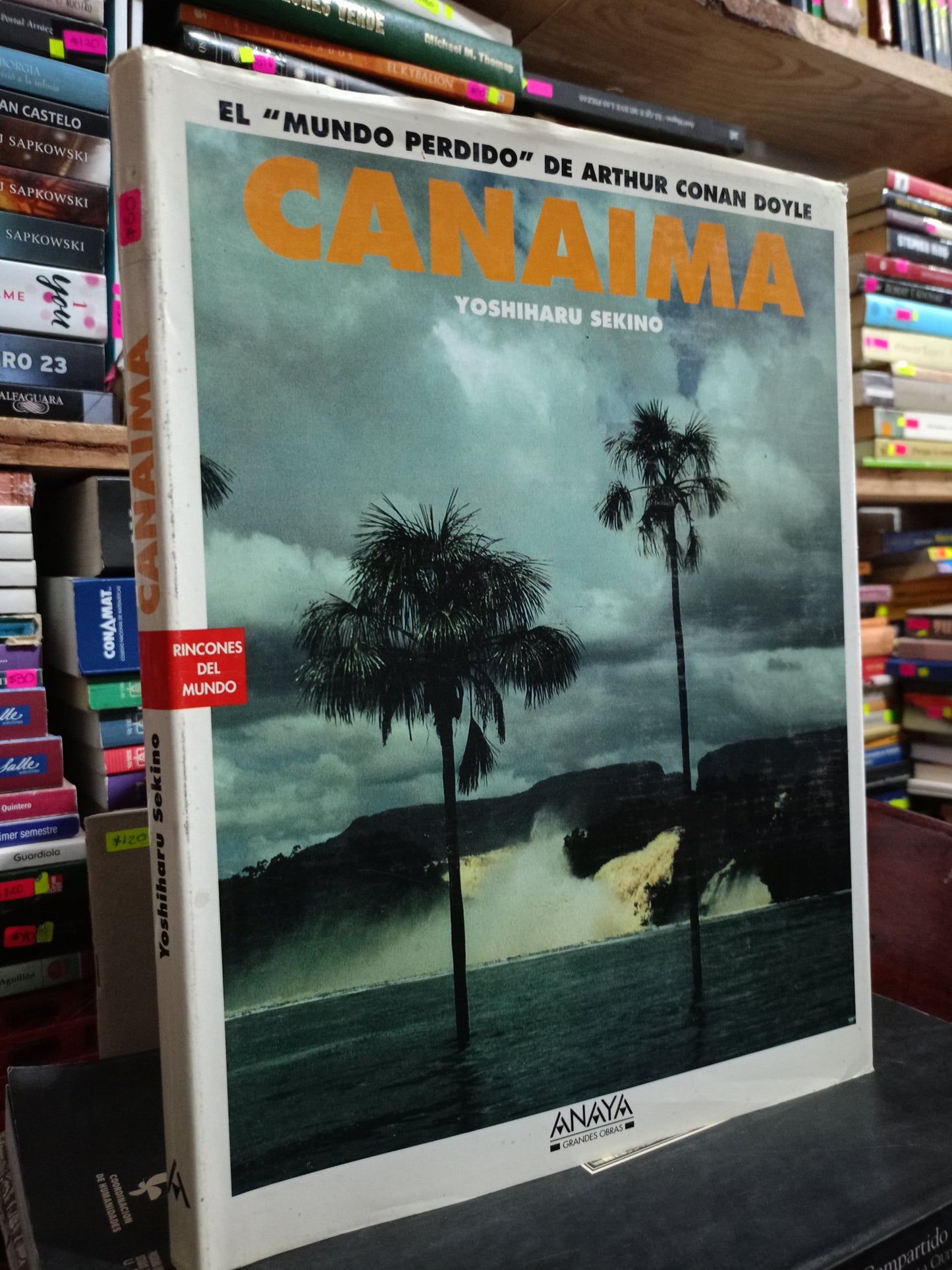CANAIMA YOSHIHARU SEKINO USADO ARTE LITERARIO 305