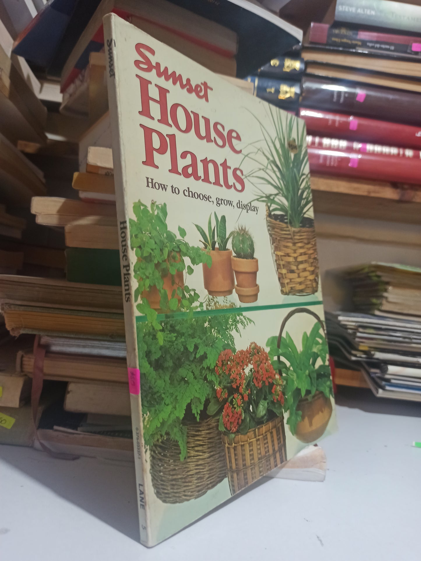 SUNSET HOUSE PLANTS POR EDITORIAL LANE USADO IDIOMAS JUÁREZ