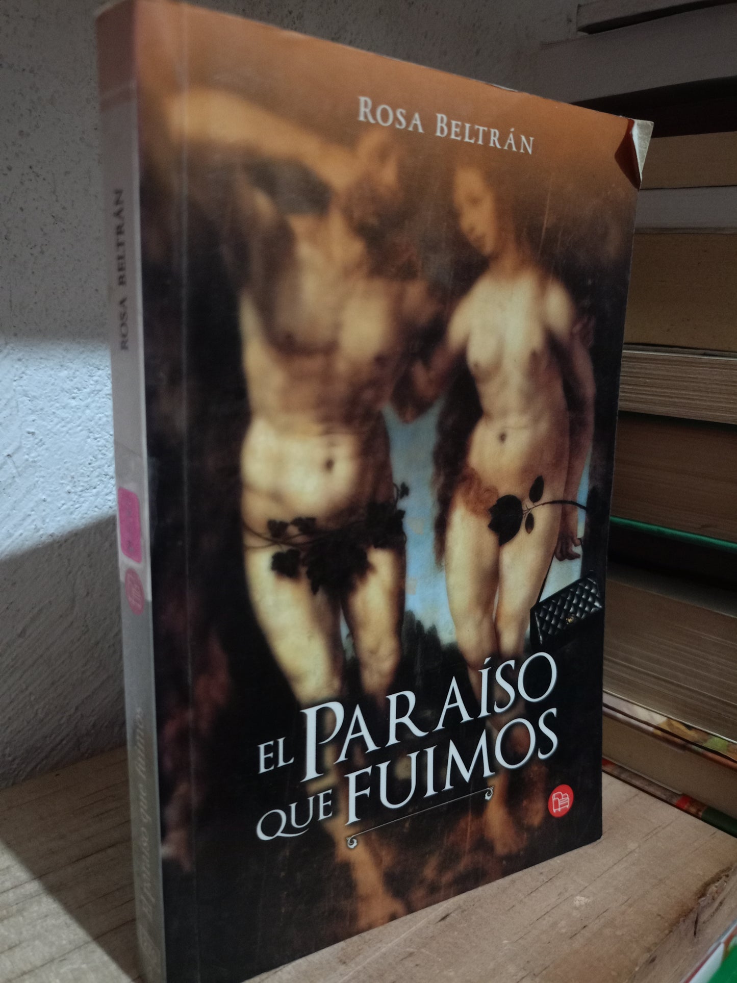 EL PARAISO QUE FUIMOS POR ROSA BELTRAN USADO NOVELA LITERARIO 305