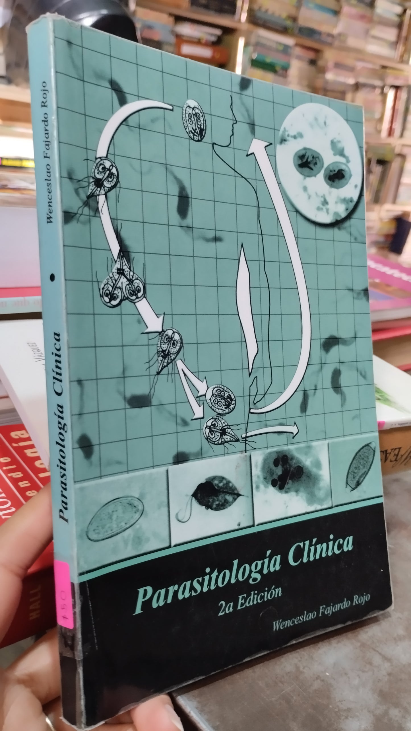 PARASITOLOGIA CLINICA POR WENCESLAO FAJARDO ROJO LIBRO USADO SALUD ALDAMA
