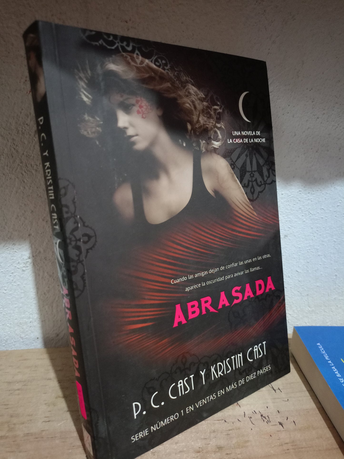 ABRASADA POR P.C. CAST Y KRISTIN CAST USADO NOVELA LITERARIO 305