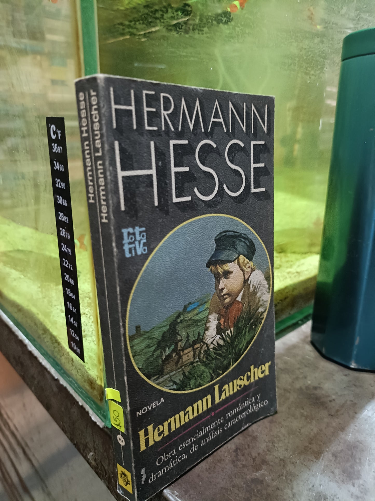 HERMANN HESSE POR HERMANN LAUSCHER USADO NOVELA ALDAMA