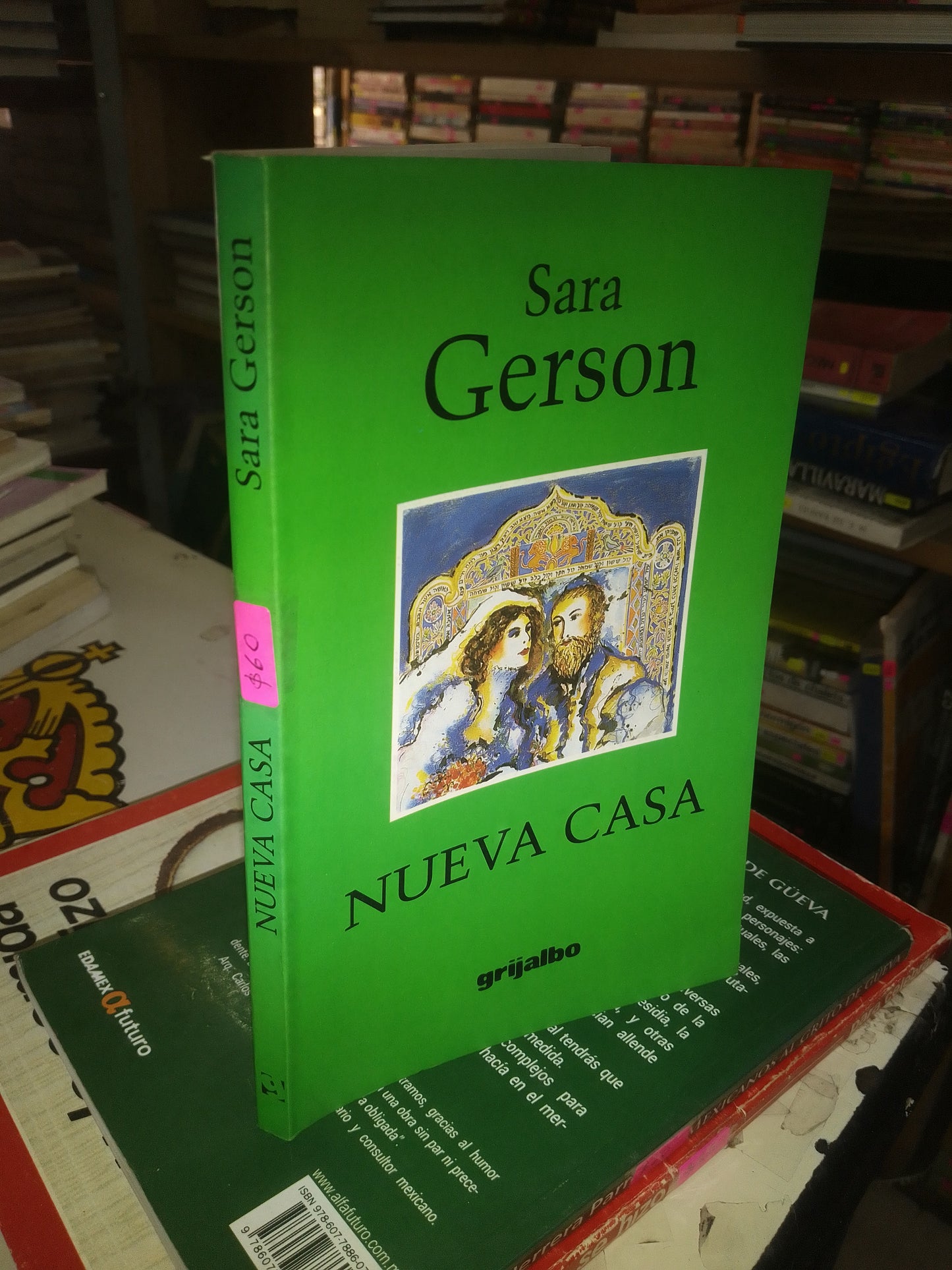 NUEVA CASA POR SARA GERSON USADO NOVELA LITERARIO 207